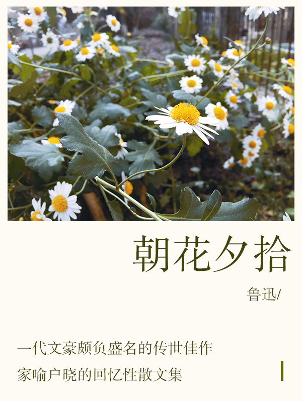 朝花夕拾原文 全网资源