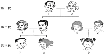 如图是某家族成员的关系图谱.请据图回答