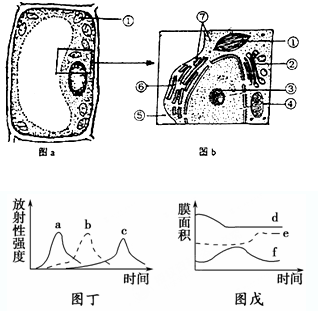 图a和图b是细胞结构的模式图.请据图回答下列问题
