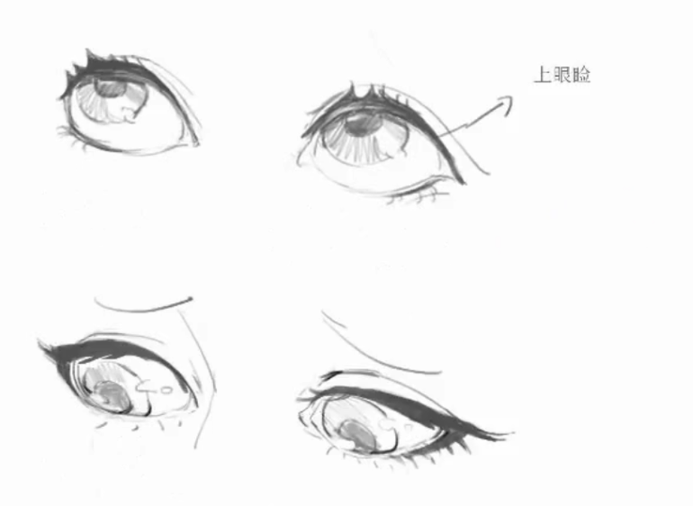 眼睛的画法 全网资源