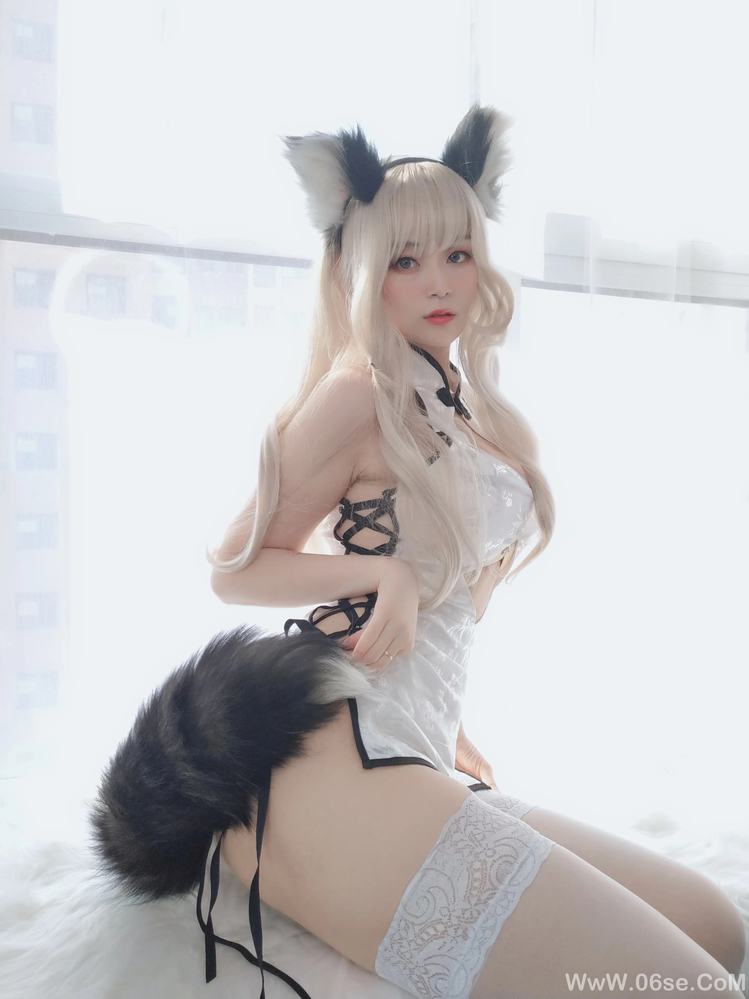 图片[2]-白银81 – 小白狼-六色网