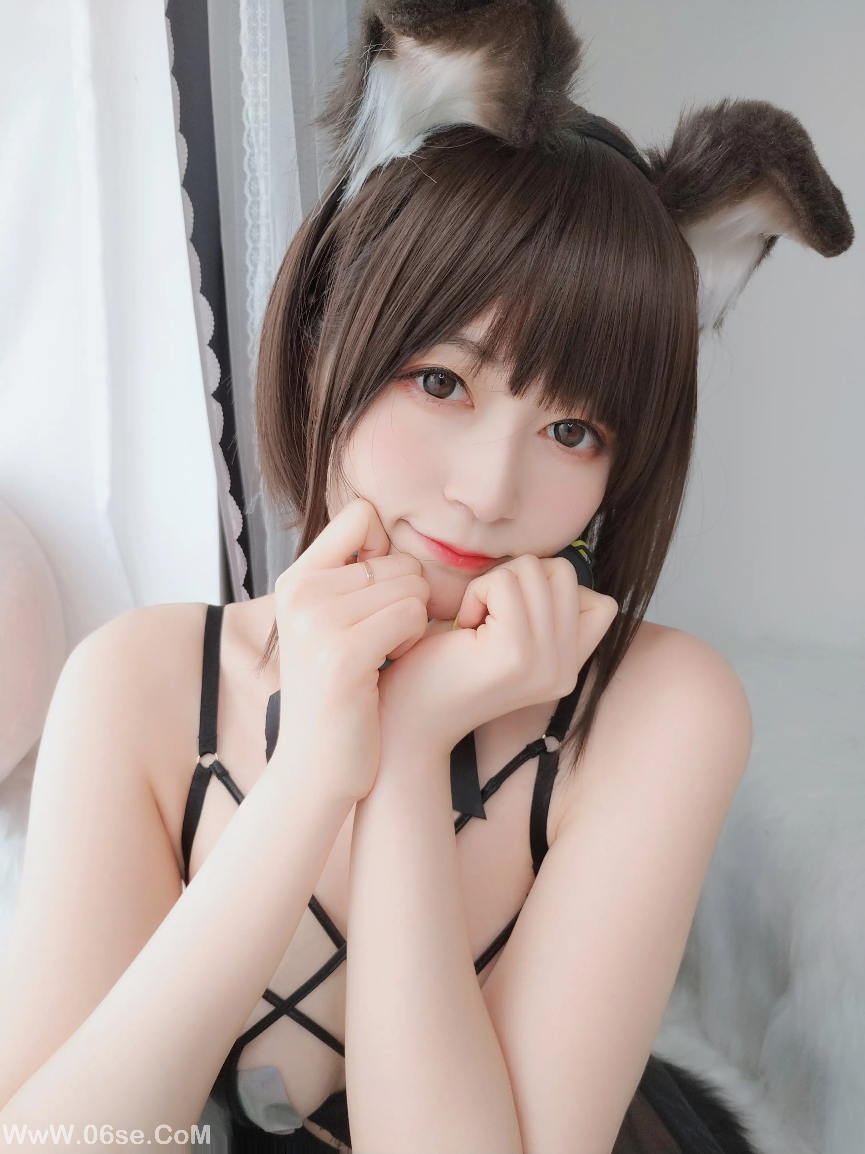 图片[84]-白银81 – 折耳狗-六色网