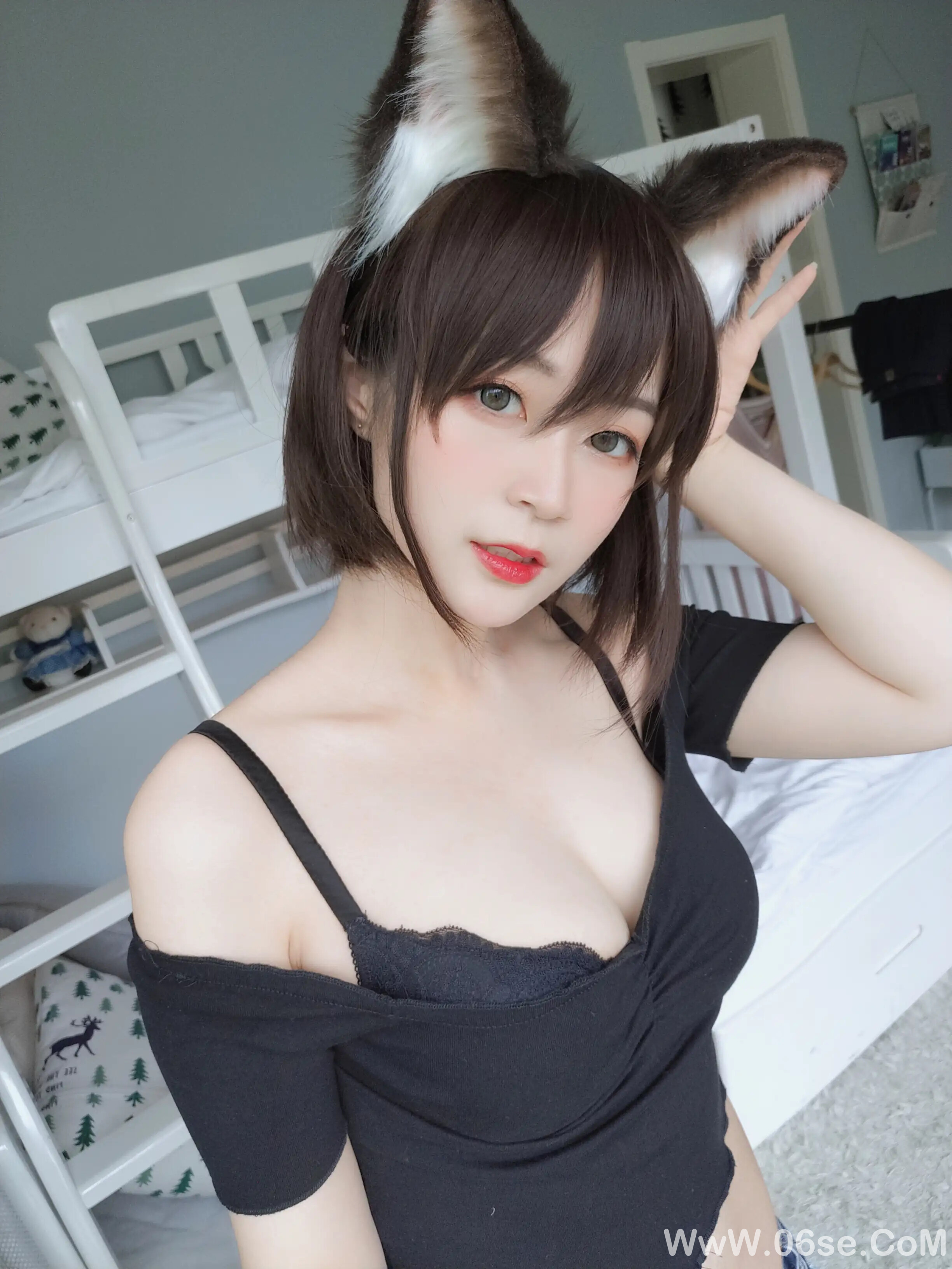 图片[10]-白银81 – 布偶猫-六色网