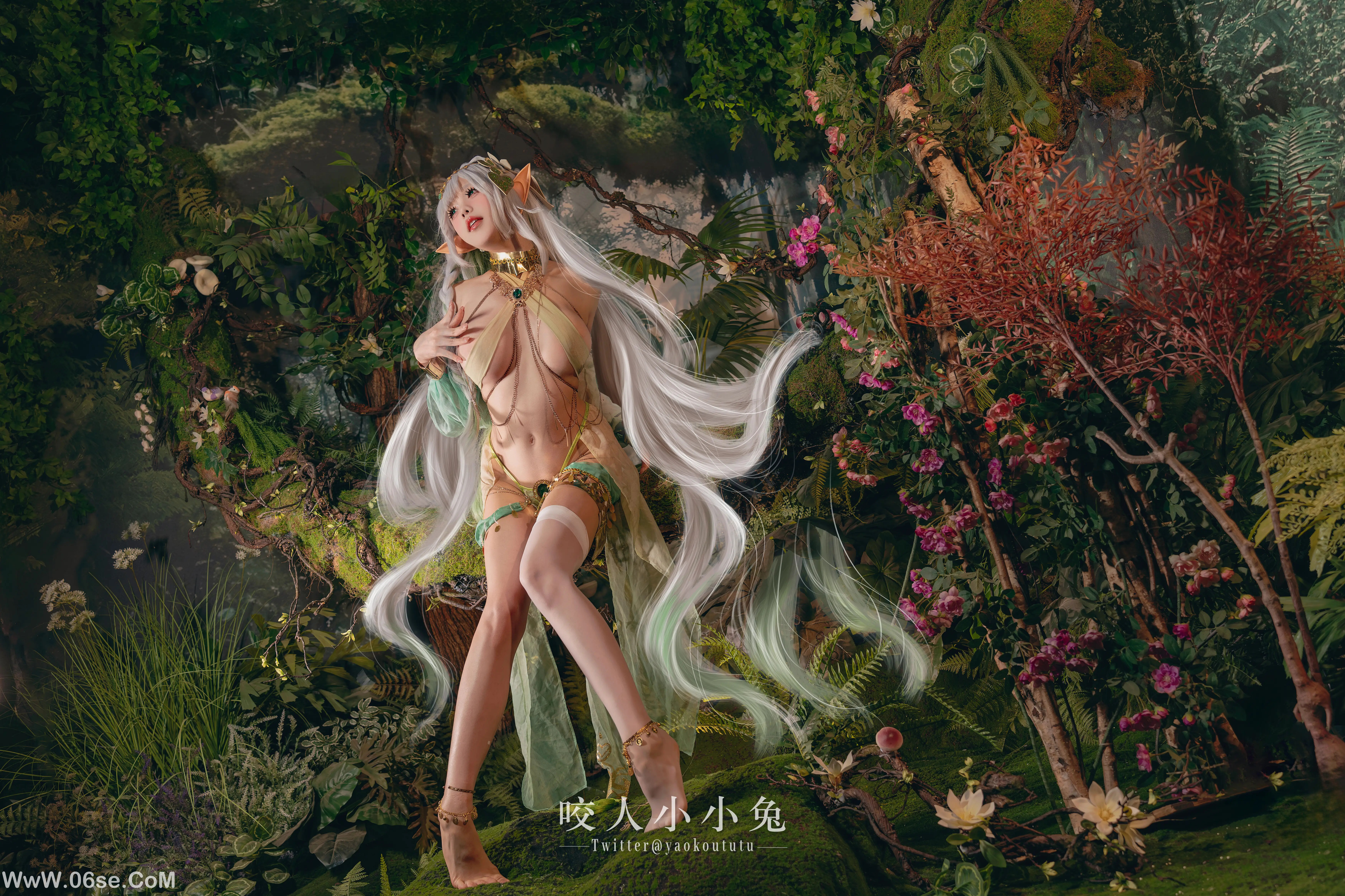 图片[31]-咬一口兔娘_『被遗忘的大慈树王』-六色网