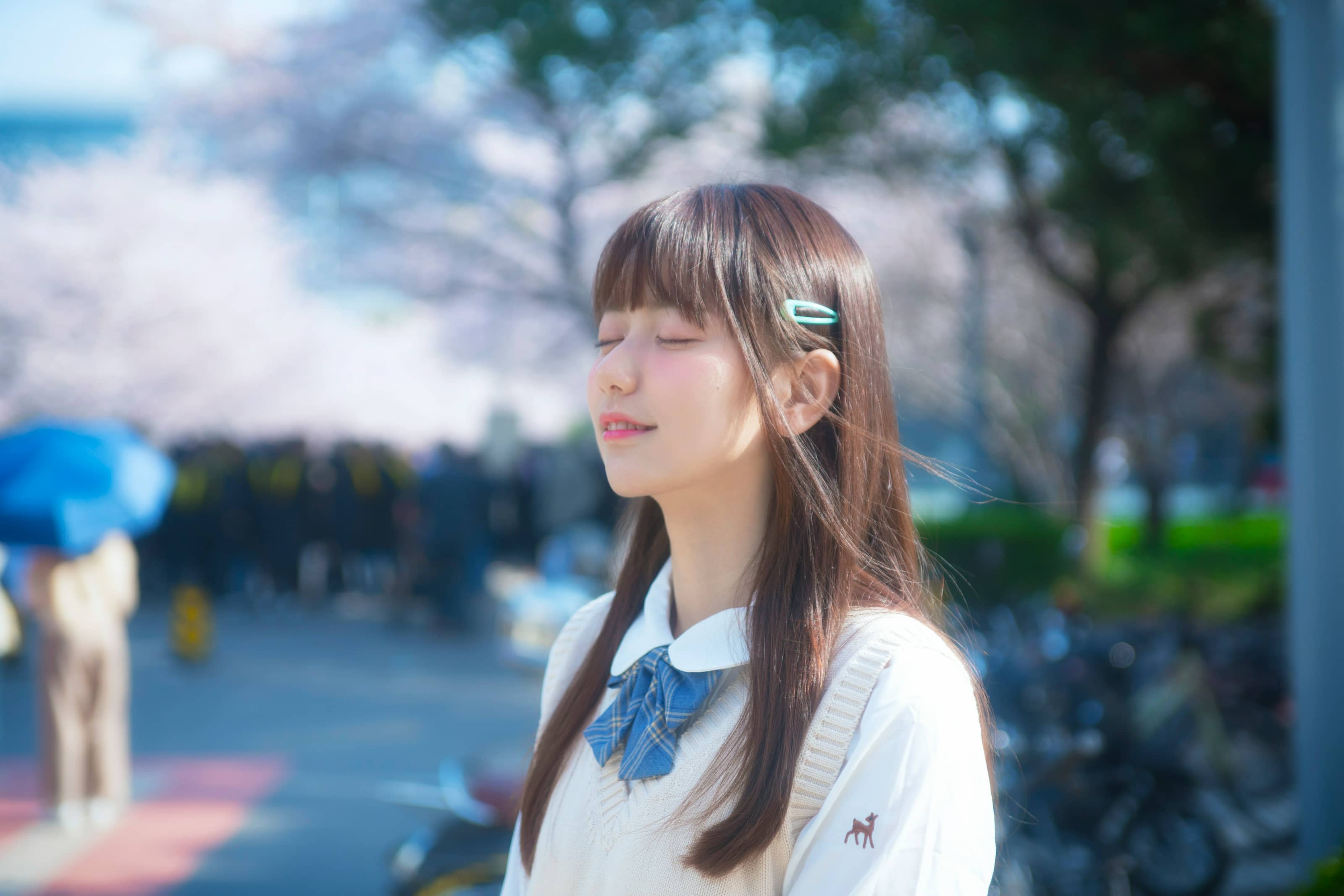 – 樱花与JK [9P]