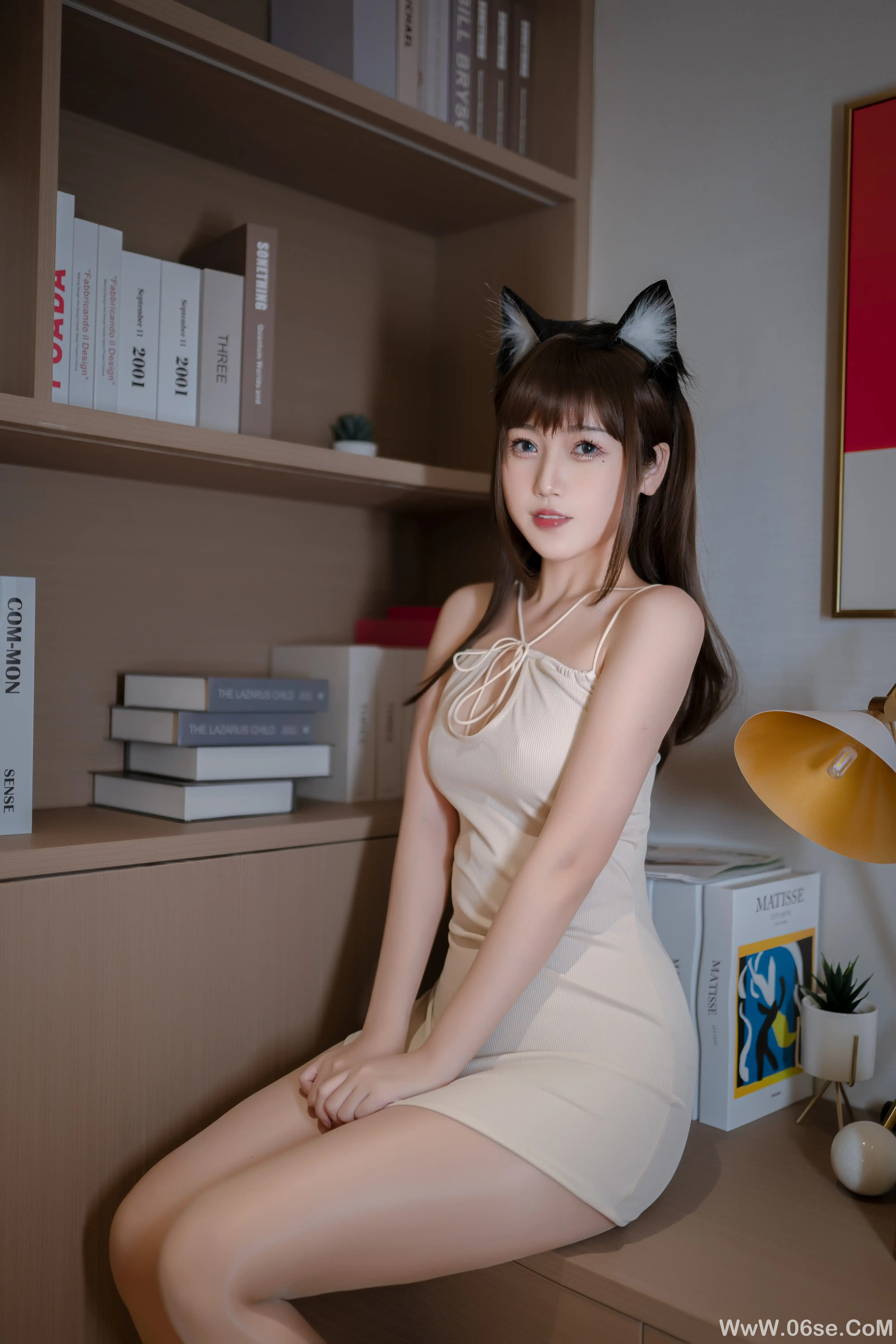 图片[7]-不呆猫 – 家教猫老师-六色网