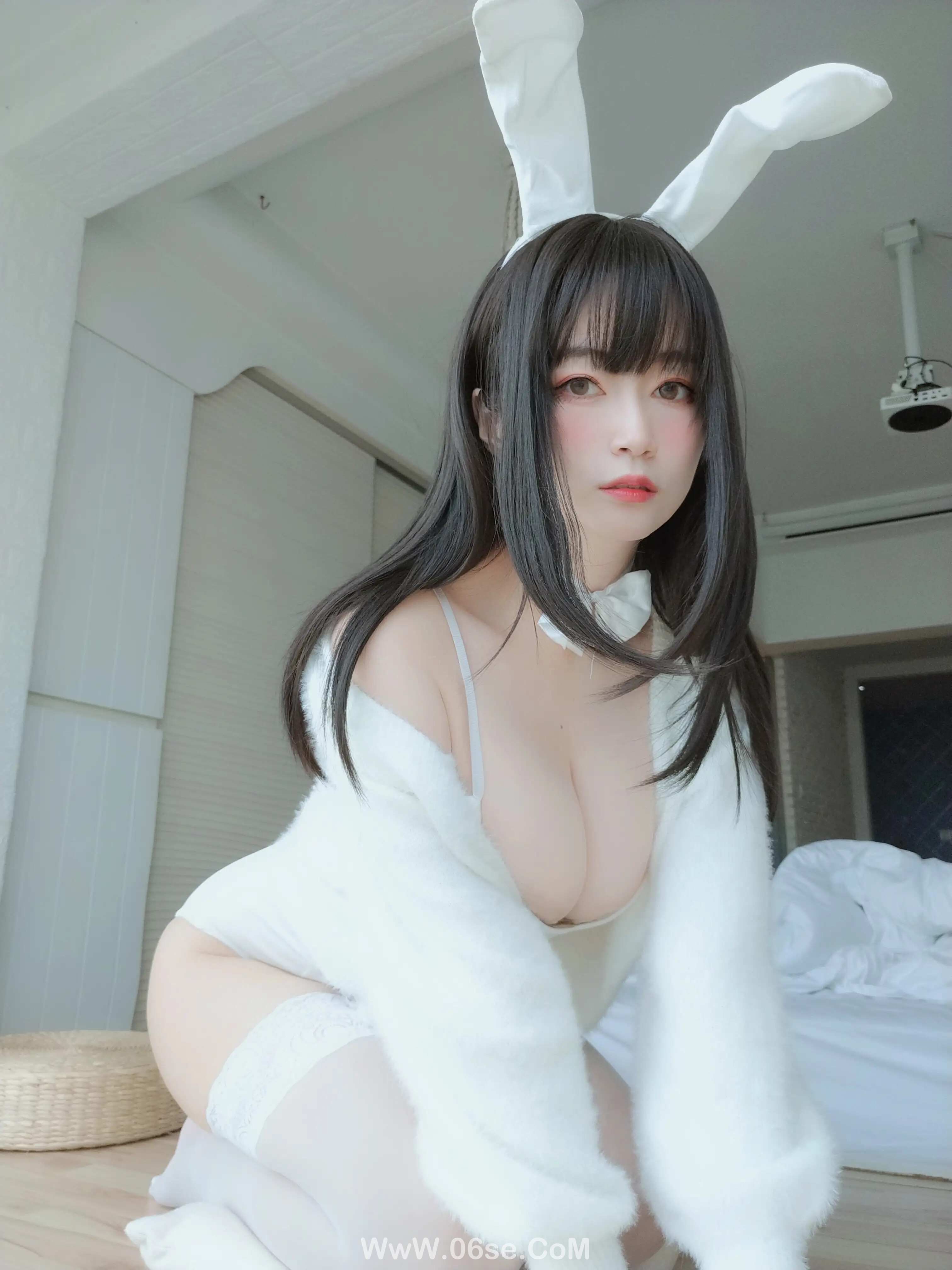 图片[54]-白银81 – 白丝兔子-六色网