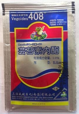月季花病虫害防治以及常用药!