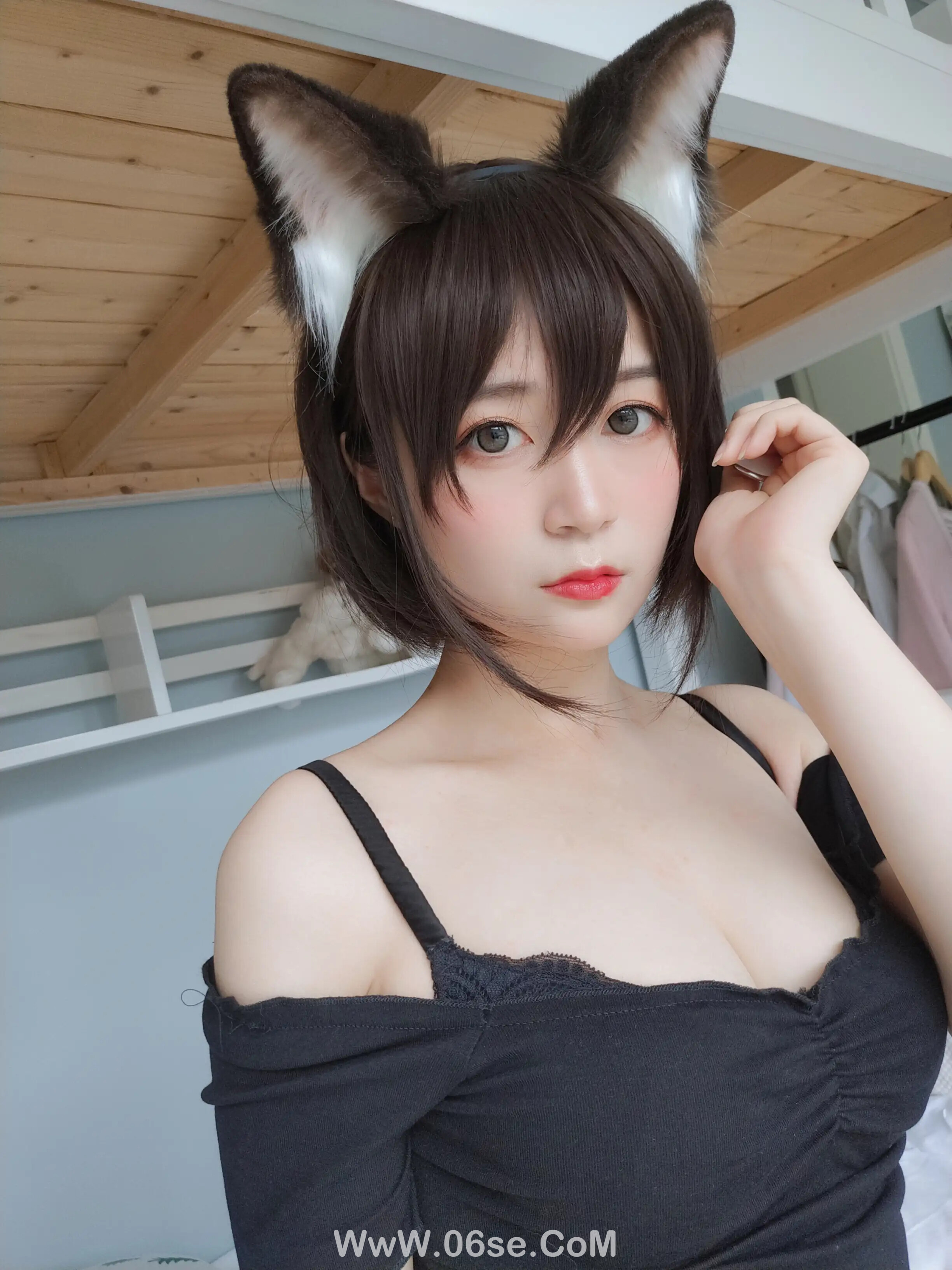 图片[7]-白银81 – 布偶猫-六色网