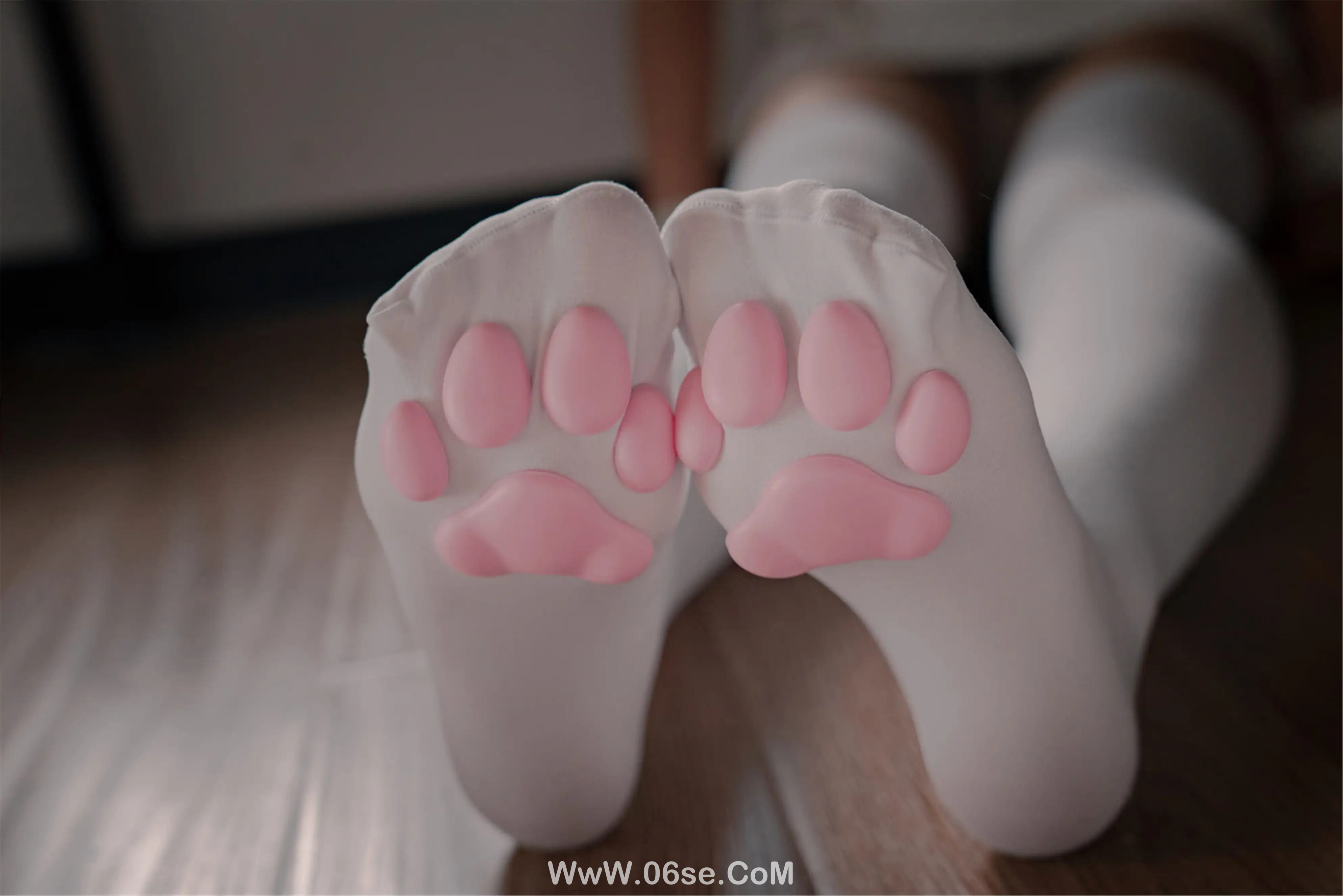 轩萧学姐 猫爪袜-六色网