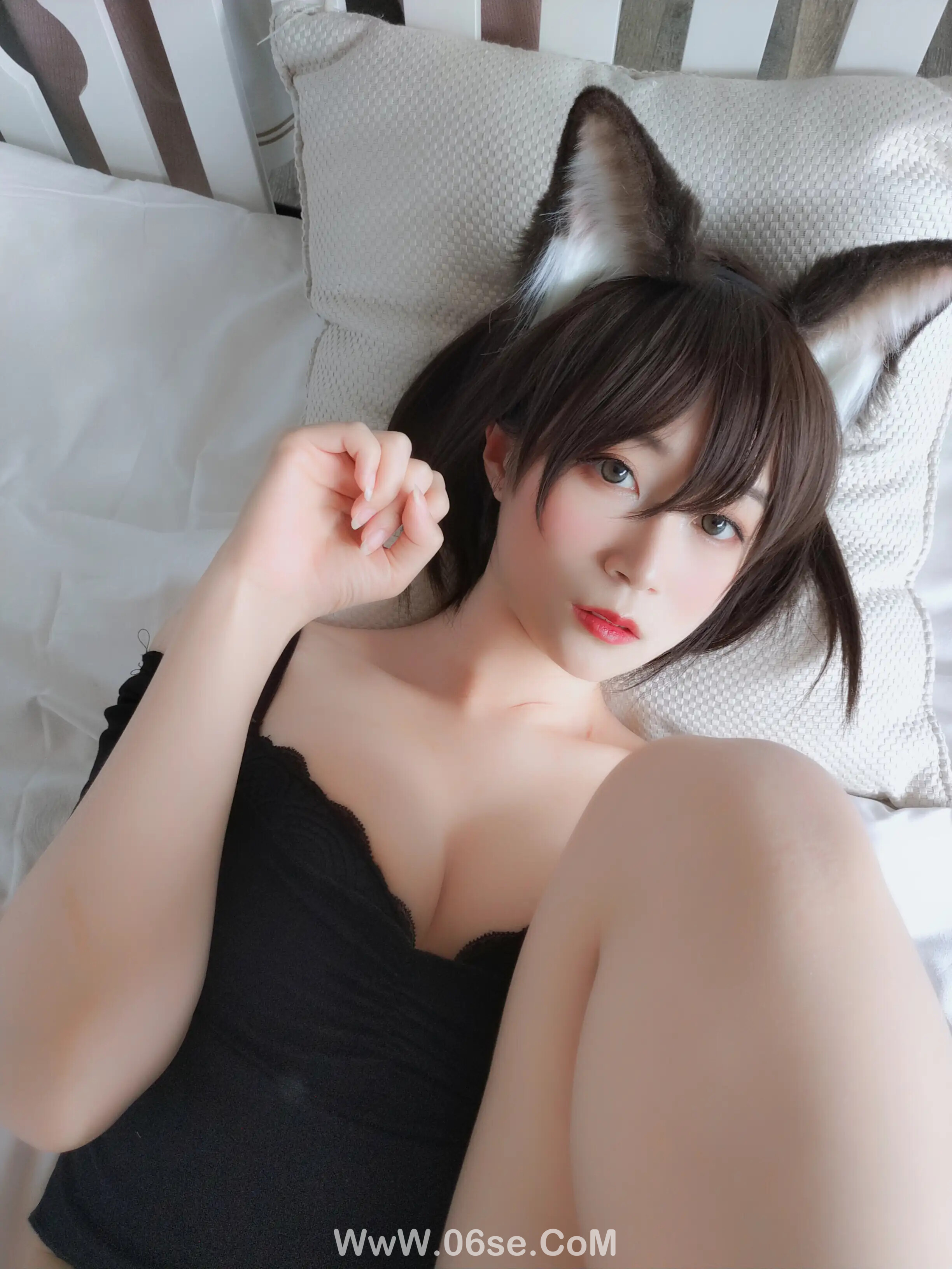 图片[39]-白银81 – 布偶猫-六色网