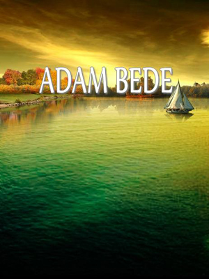 adam bede全文阅读_adam bede免费阅读_百度阅读