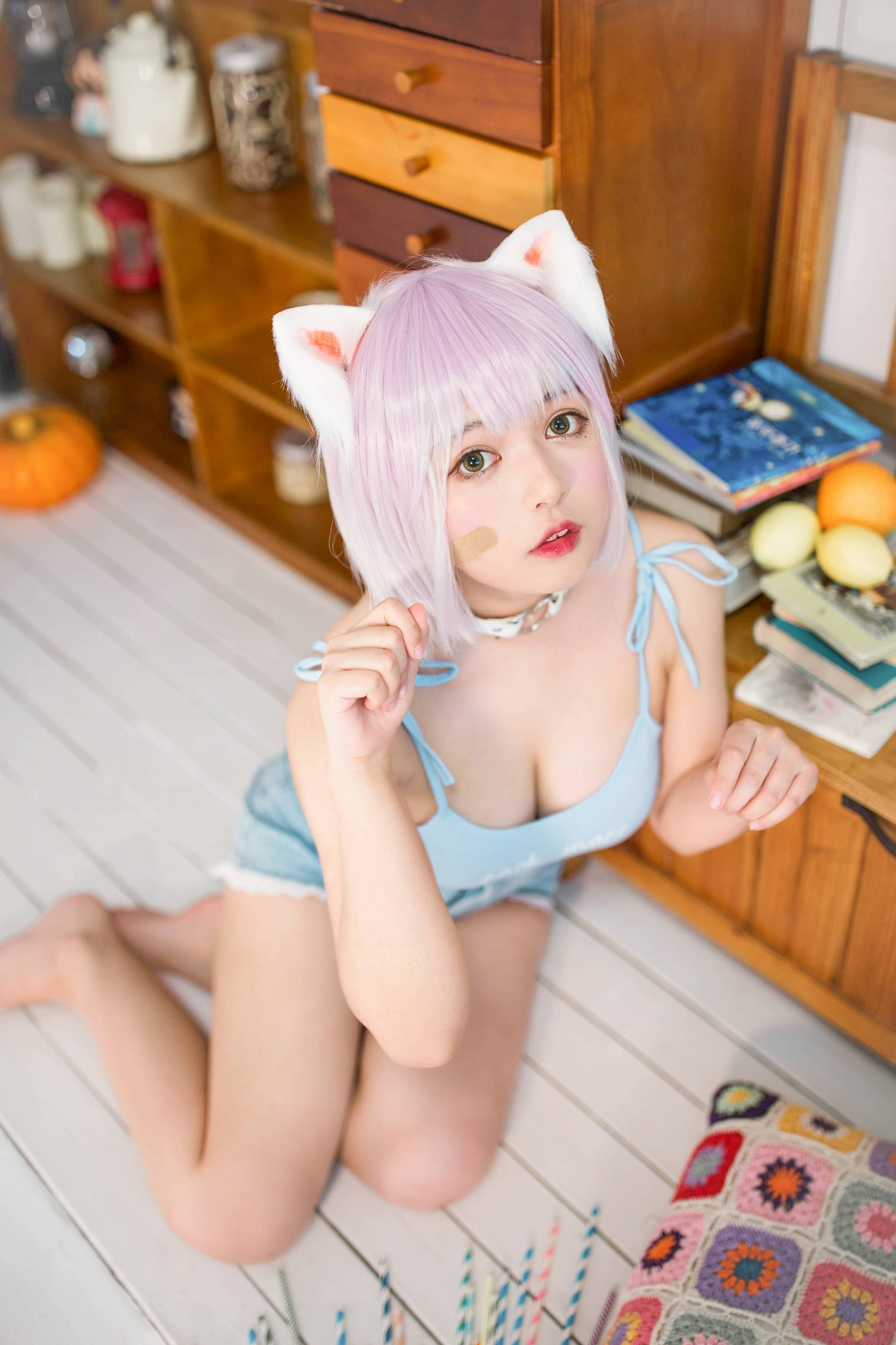 – 养猫小课堂 [39P]