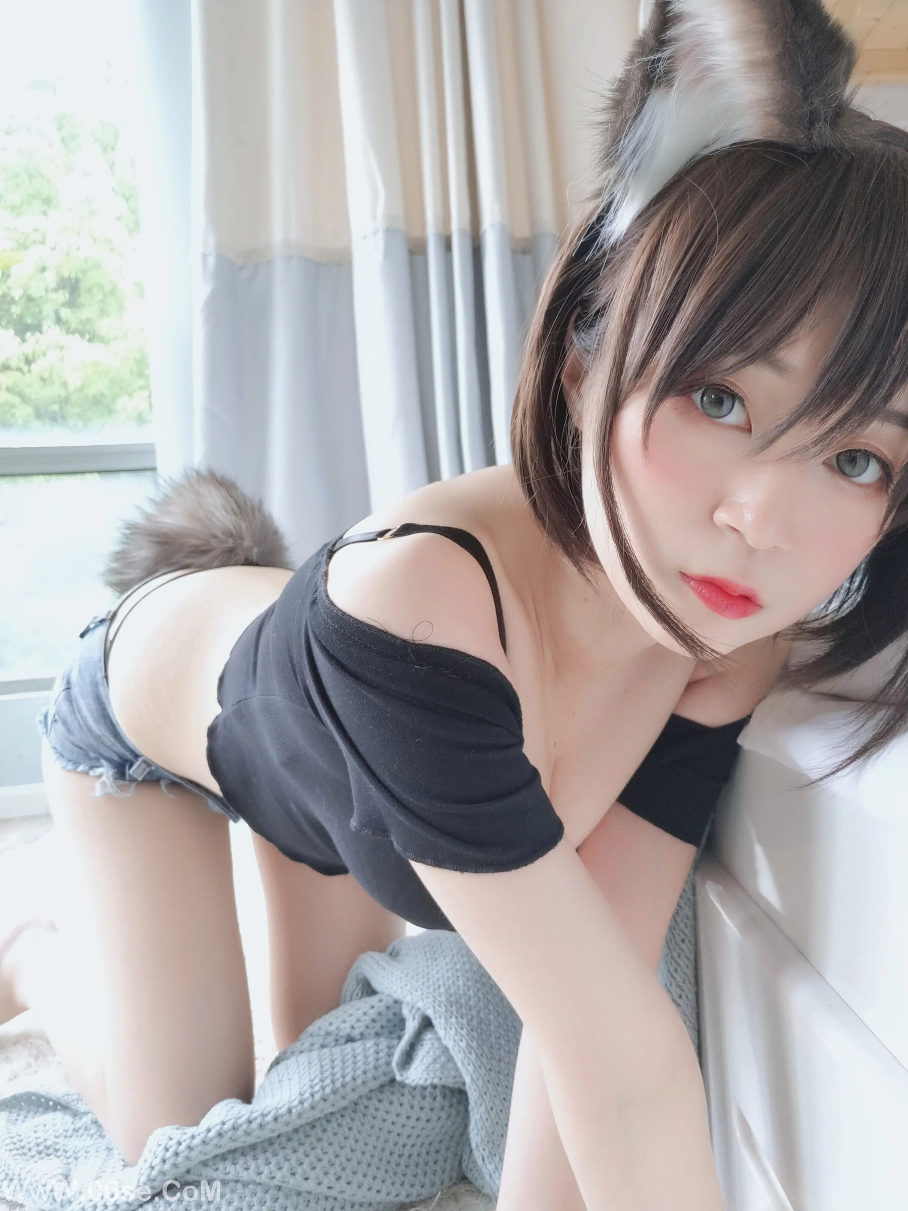 图片[41]-白银81 – 布偶猫-六色网