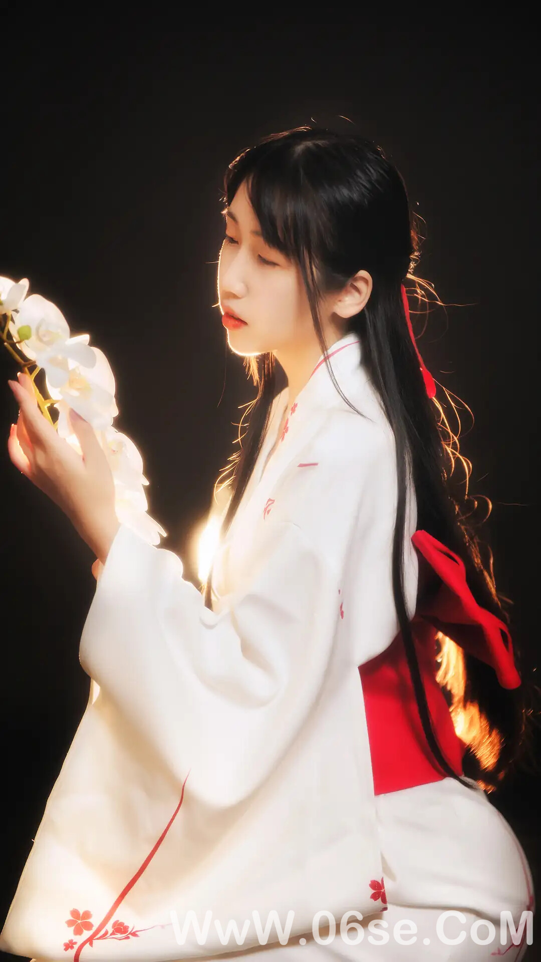图片[38]-不呆猫 – 和服-六色网