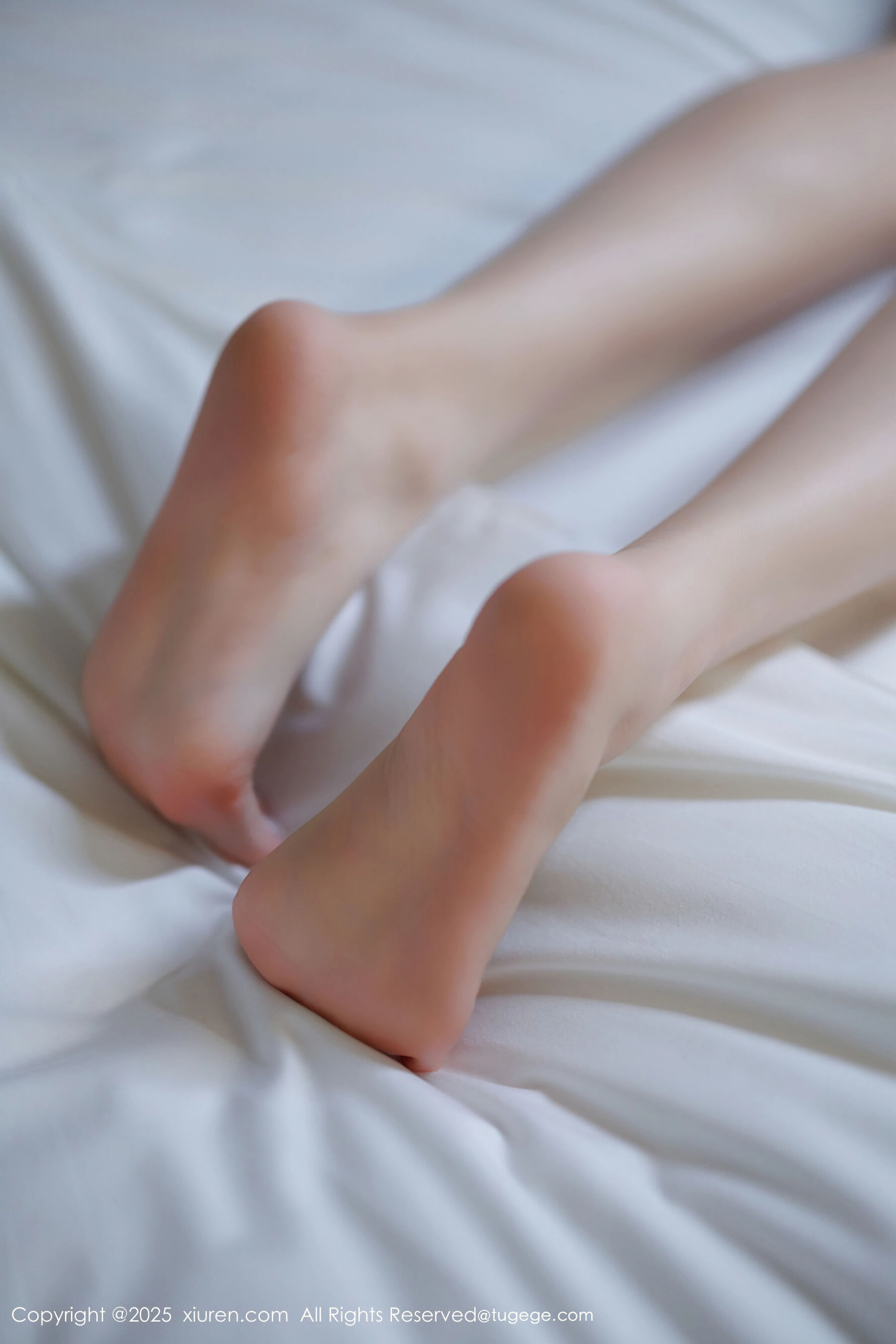 图片[63]-秀人网 – NO.11035 – 杨晨晨 [82P]-六色网