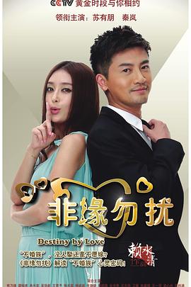 非缘勿扰 DVD版