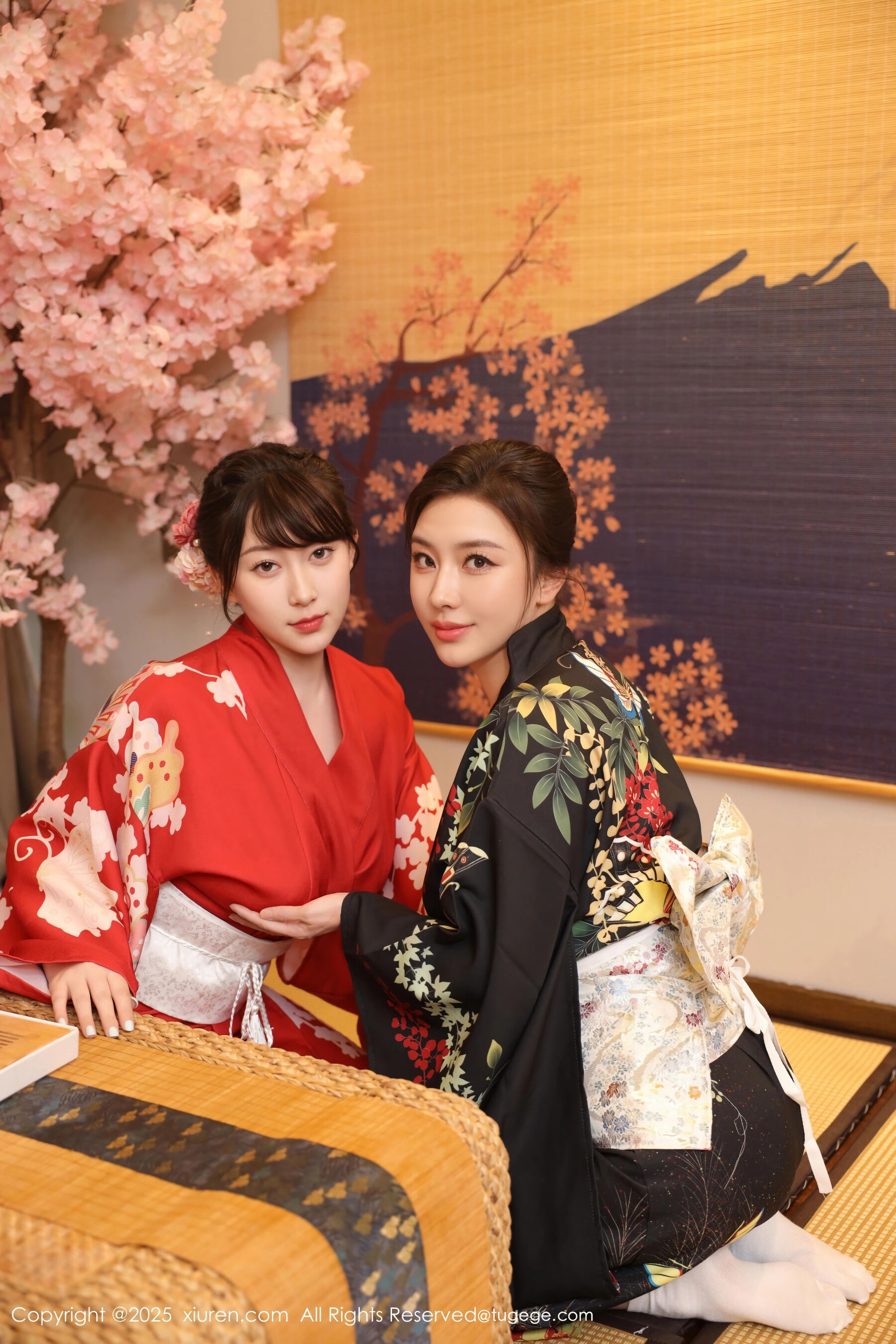 图片[79]-[Xiuren秀人网] 2025.08.07 NO.10627 苏一诺[81P]-六色网