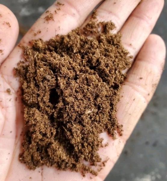 泥炭土有营养吗？要不要浇化肥？