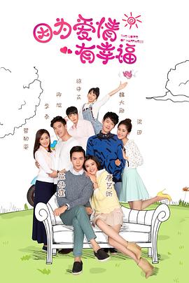 因为爱情有幸福 DVD版