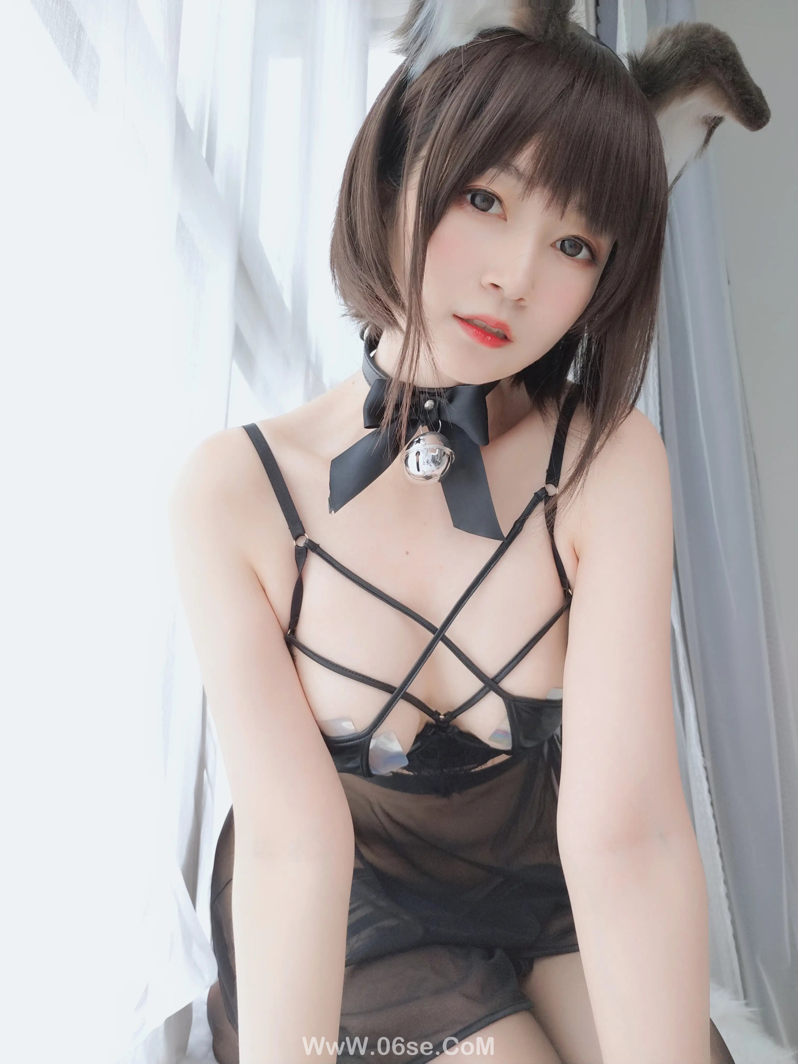 图片[41]-白银81 – 折耳狗-六色网