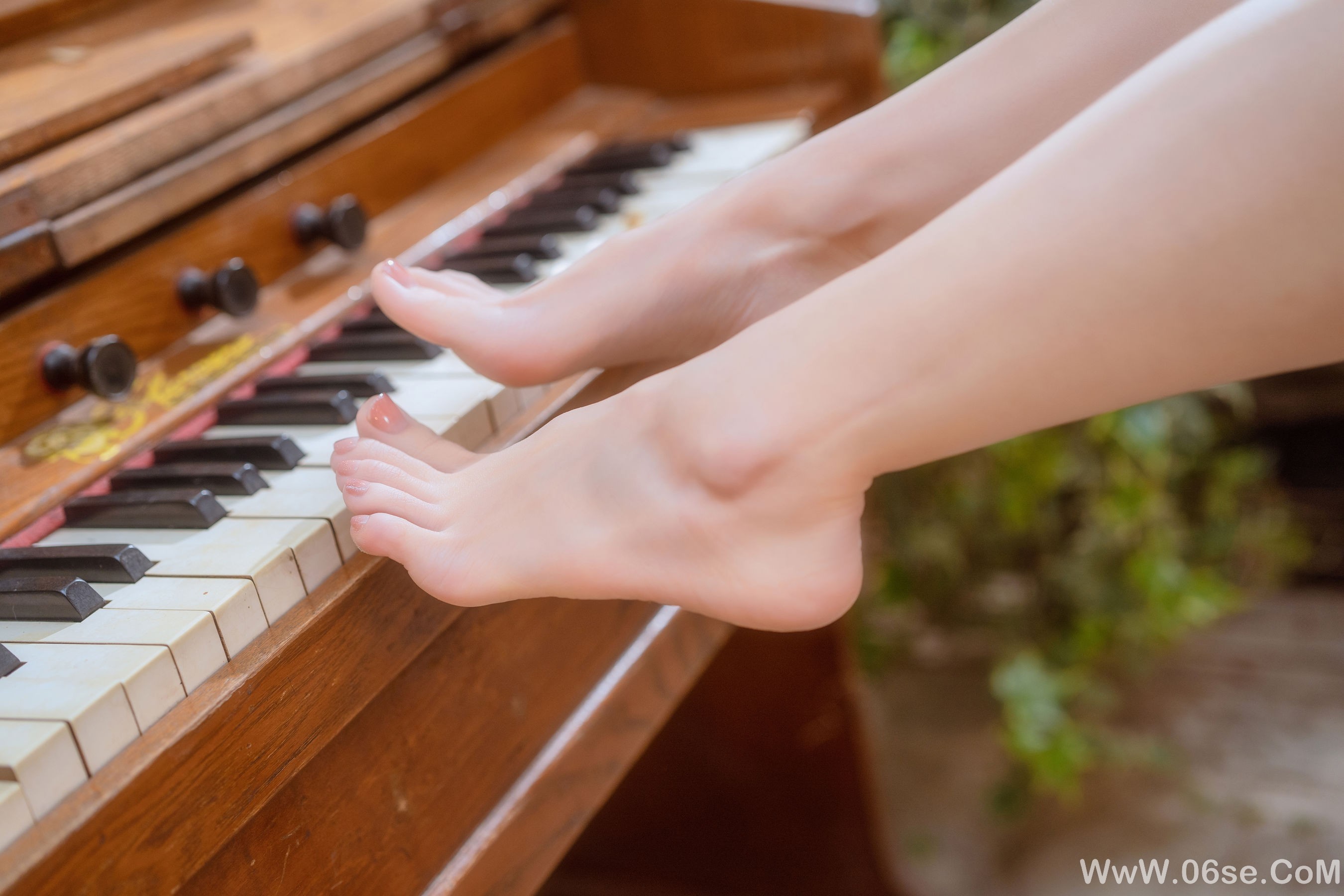 图片[48]-桃良阿宅 – 小院 [55P]-六色网