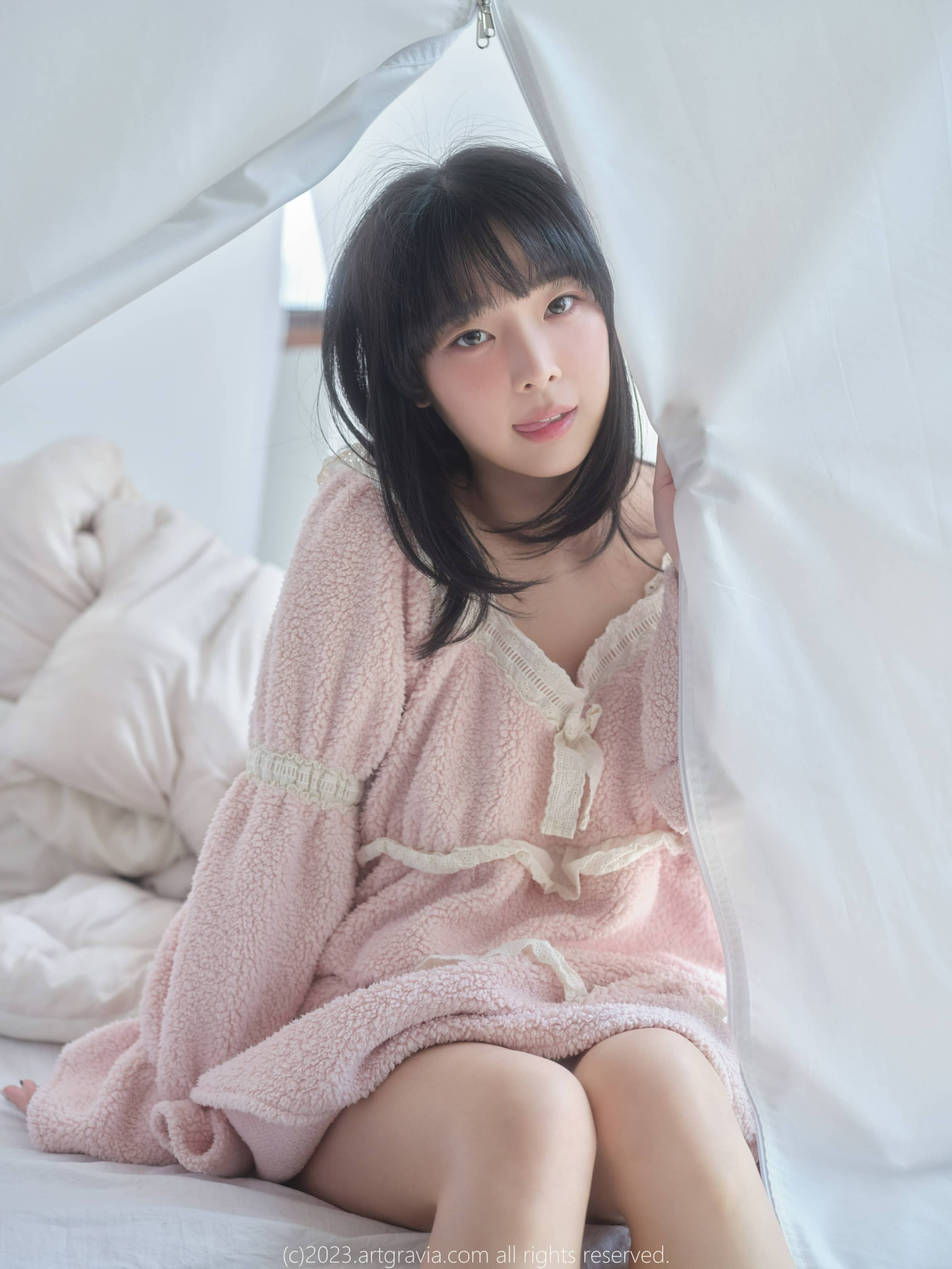 – ARTGRAVIA_VOL537 [92P]
