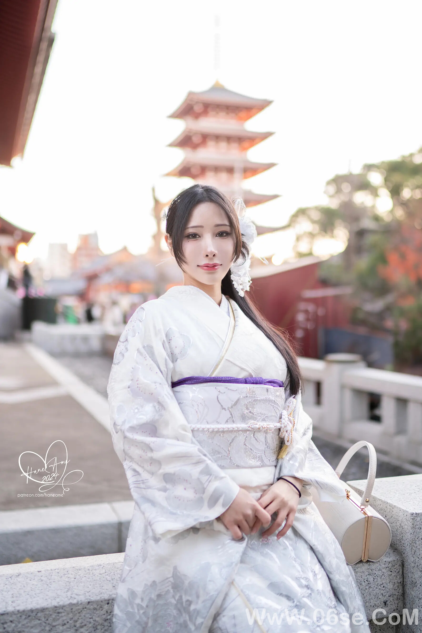 图片[16]-雨波-Original 2024 New year Silver Kimono-六色网