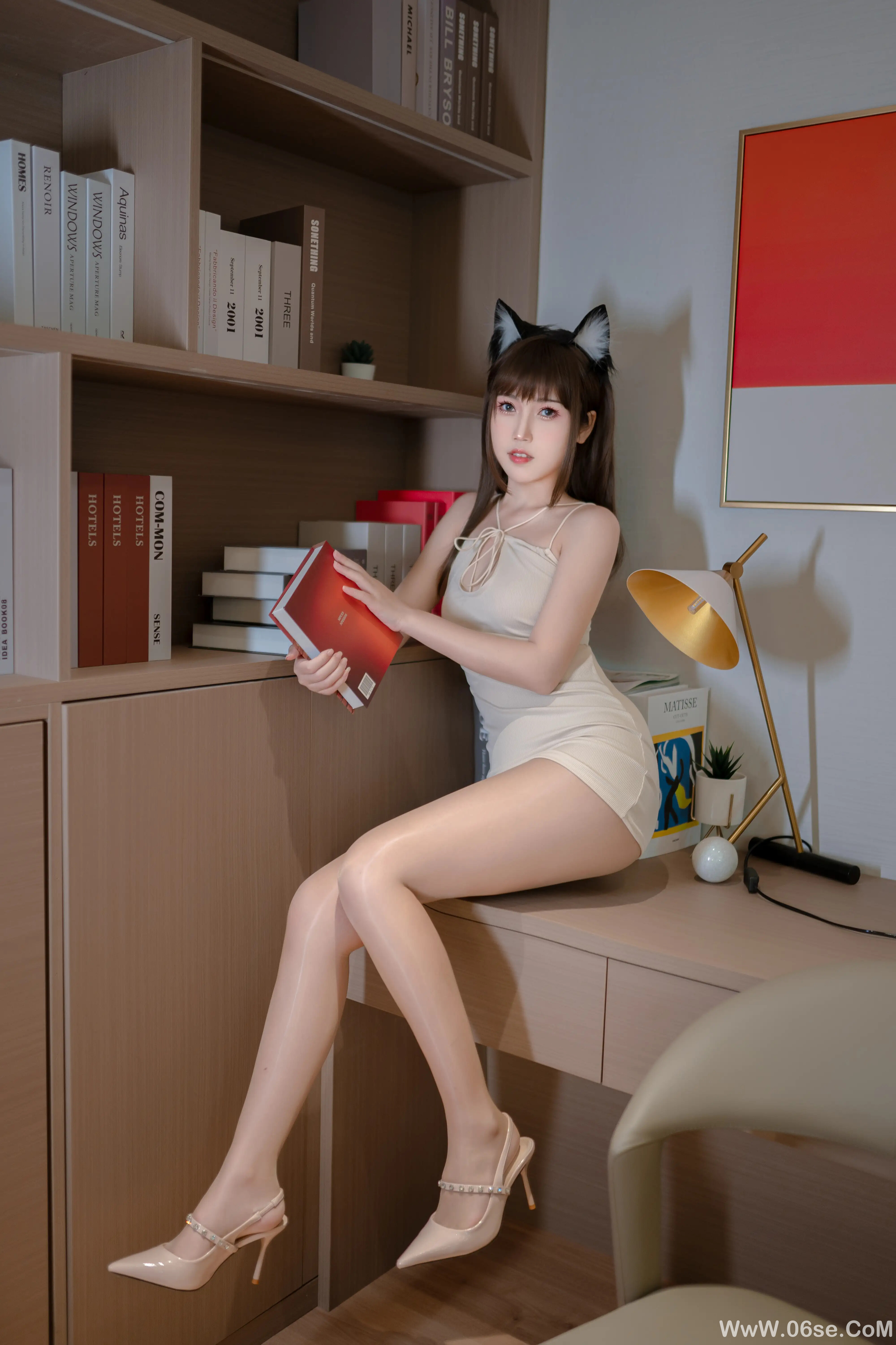 图片[3]-不呆猫 – 家教猫老师-六色网