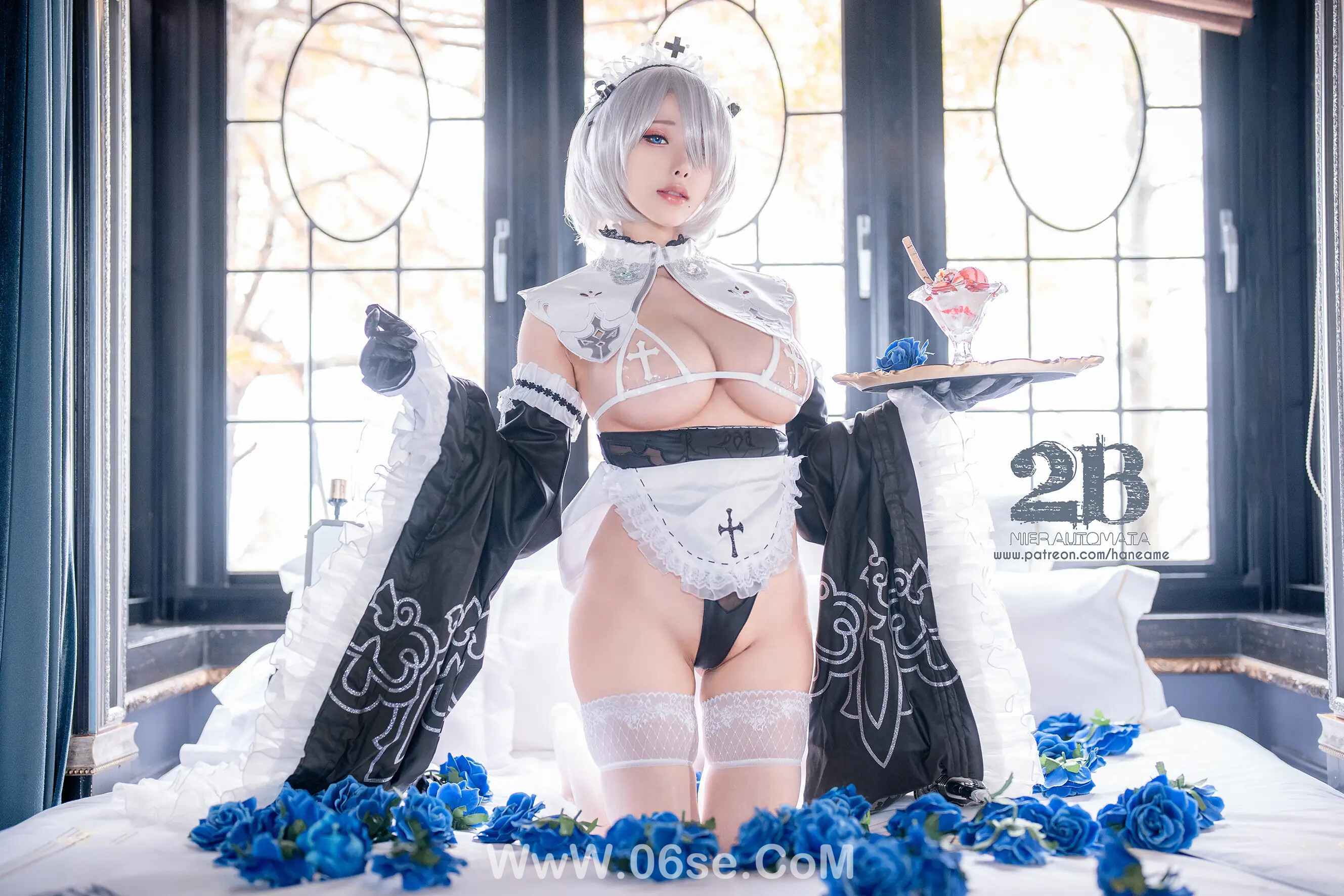 雨波 Nier_2B Maid-六色网