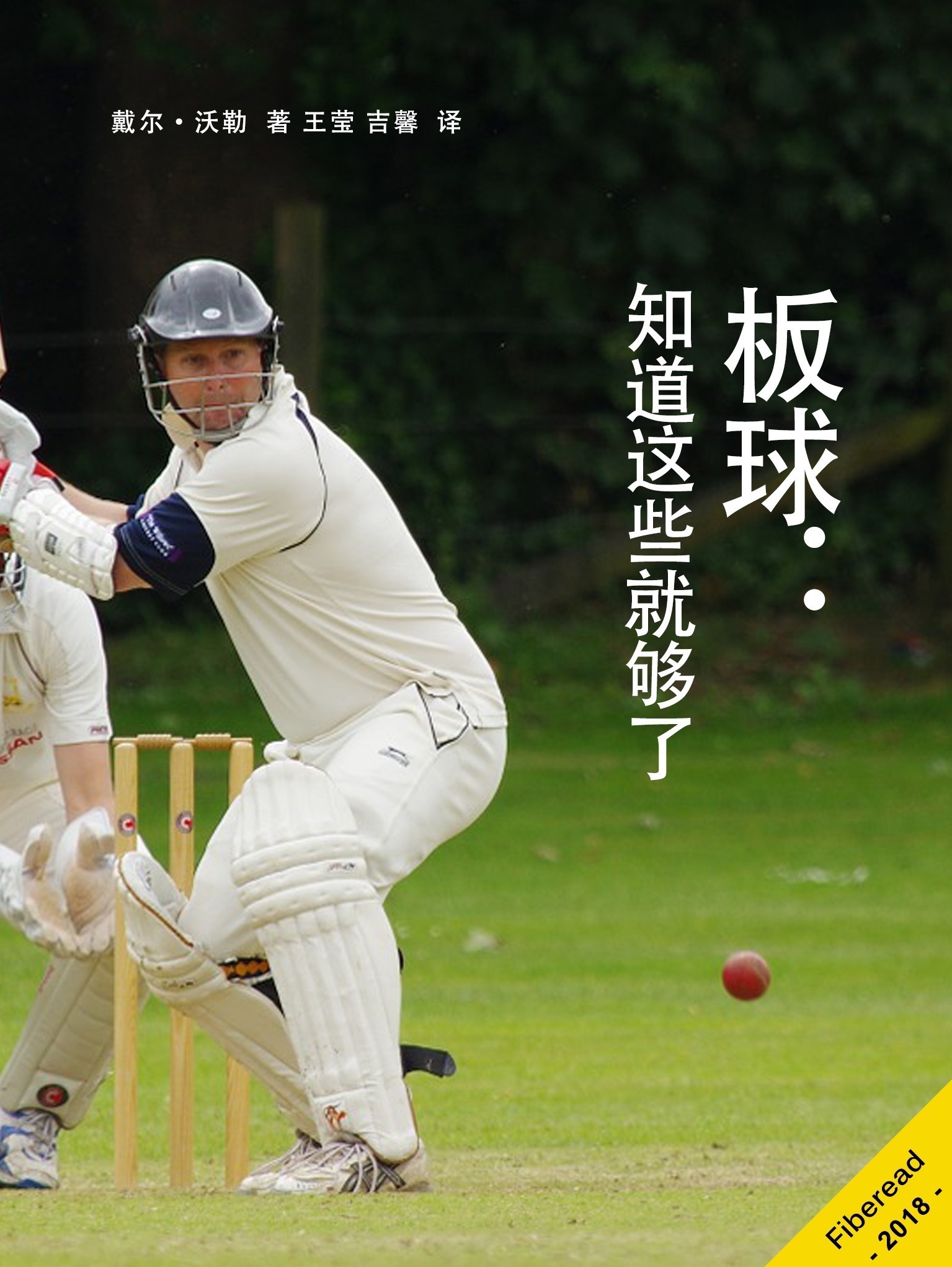 板球:知道这些就够了全文阅读_板球:知道这些就够了免费阅读_百度阅读