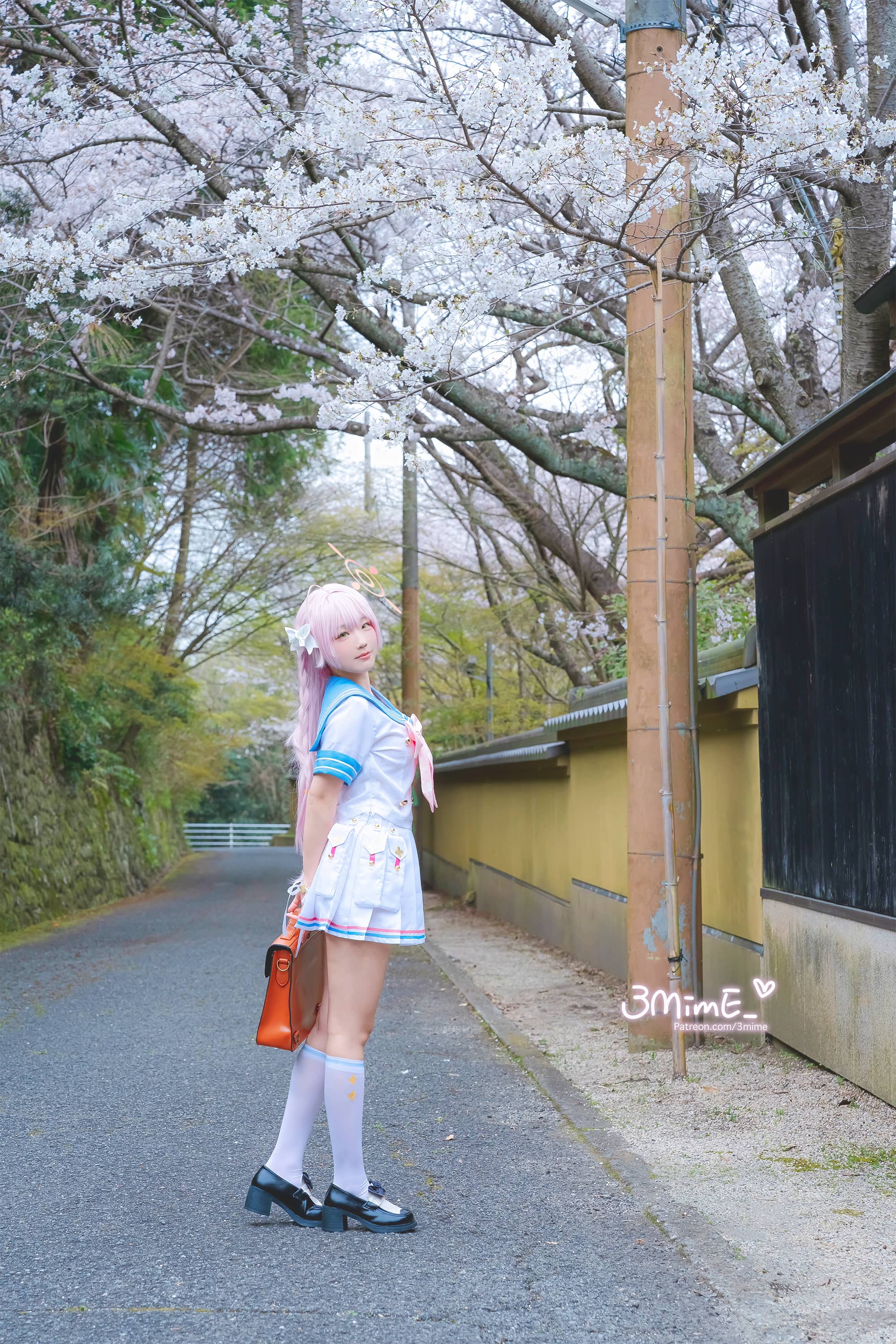 – Hanako [18P]