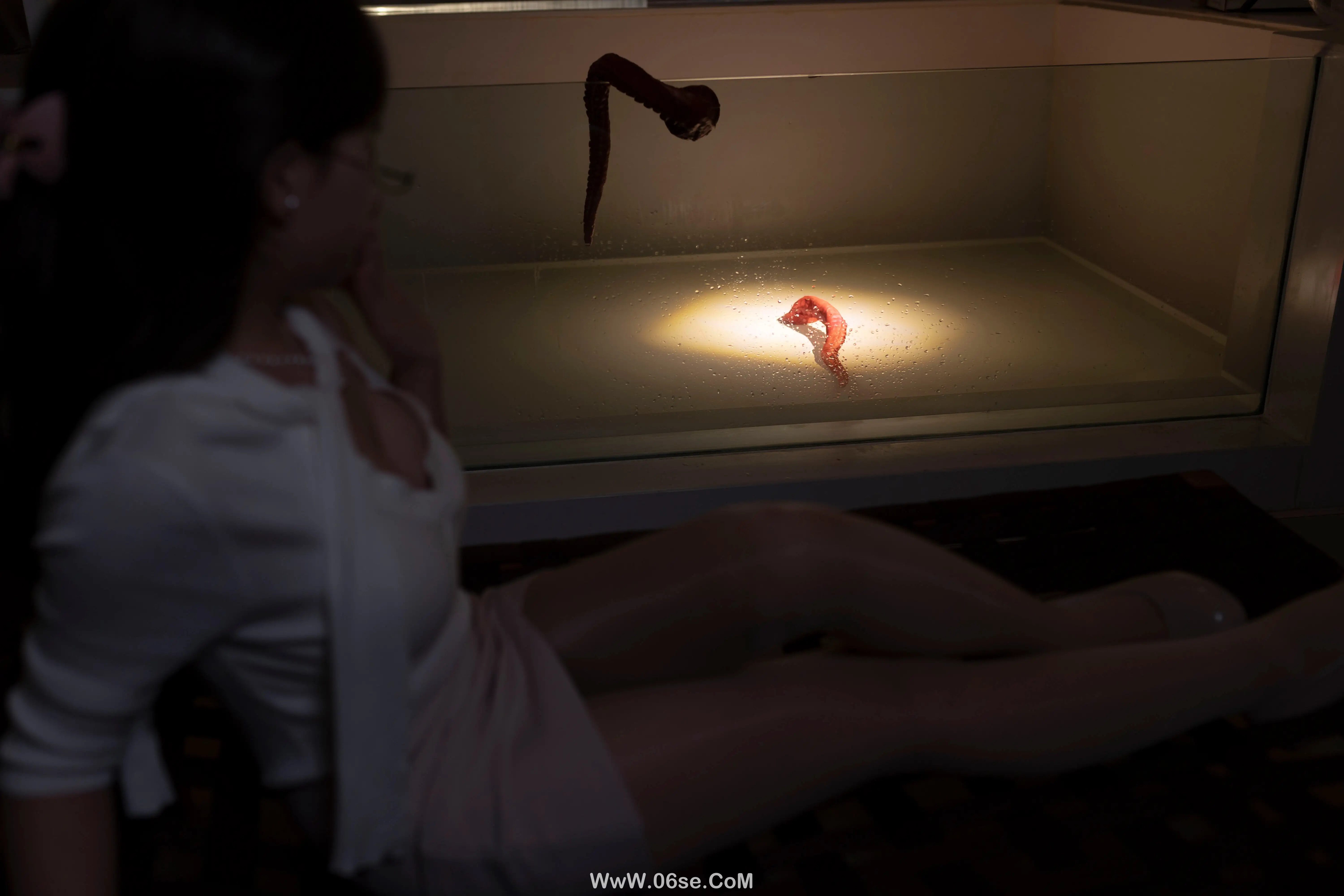 图片[19]-Bangni邦尼 – 触手来袭-六色网
