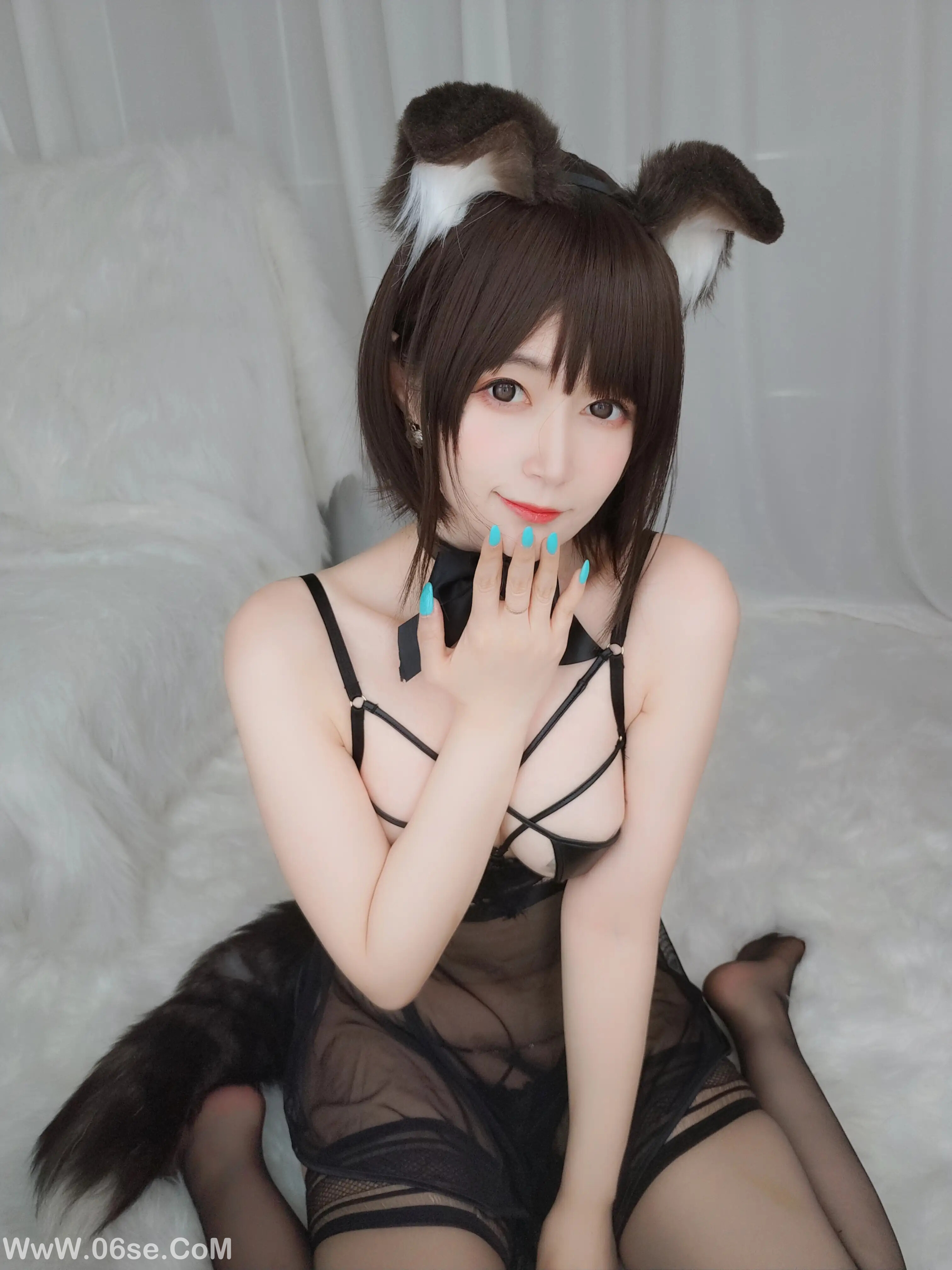 图片[12]-白银81 – 折耳狗-六色网