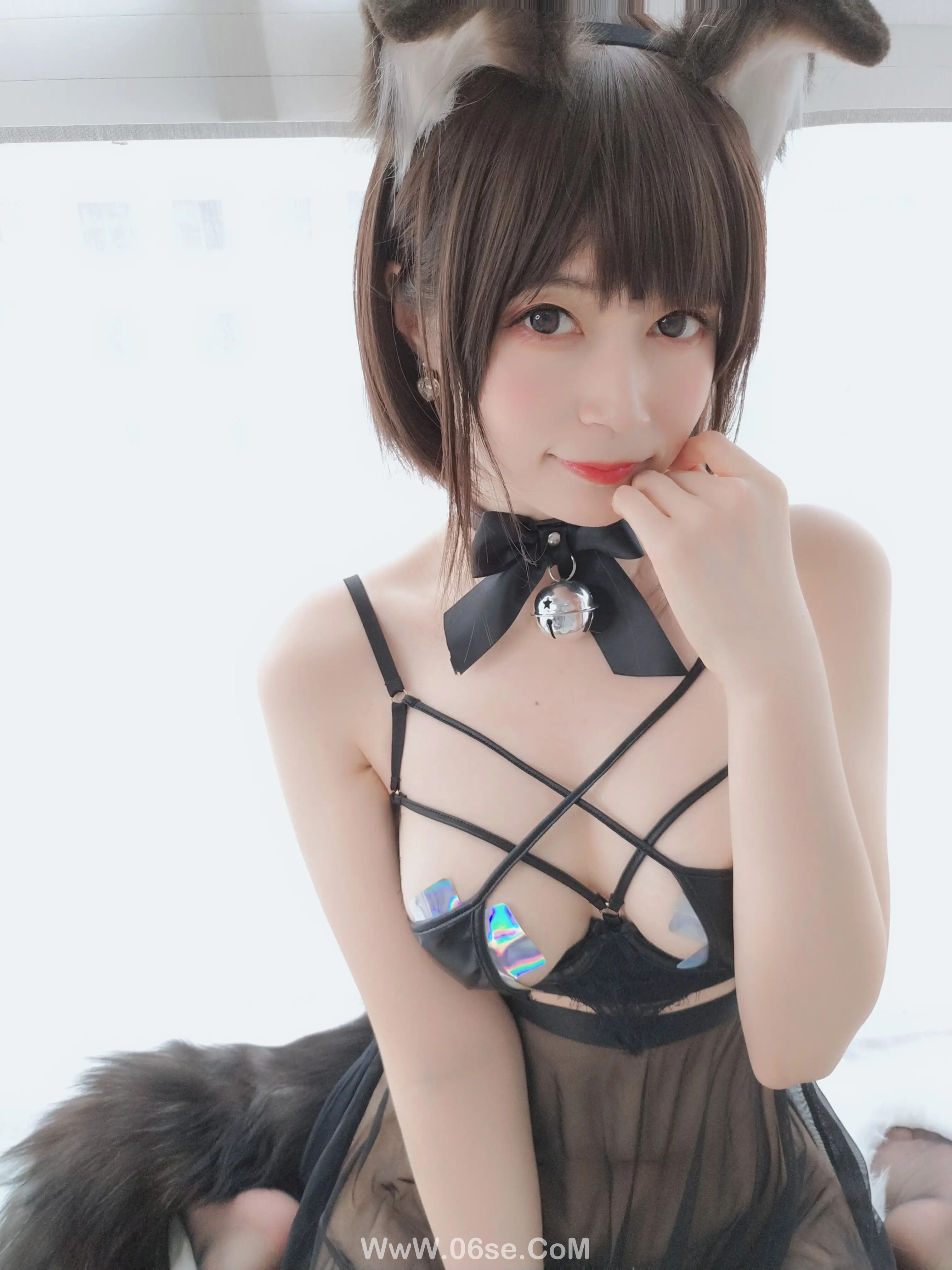 图片[72]-白银81 – 折耳狗-六色网