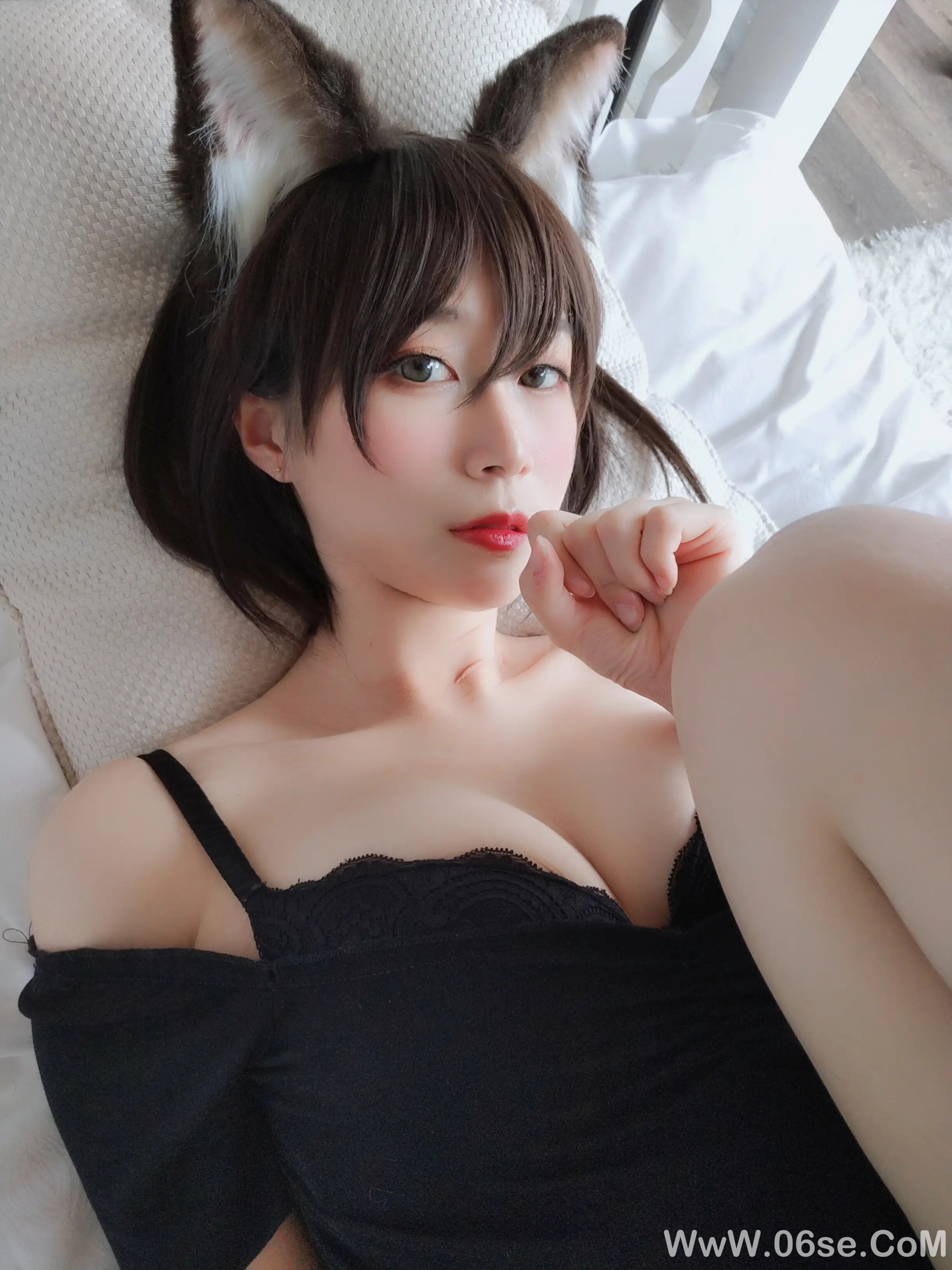 图片[21]-白银81 – 布偶猫-六色网