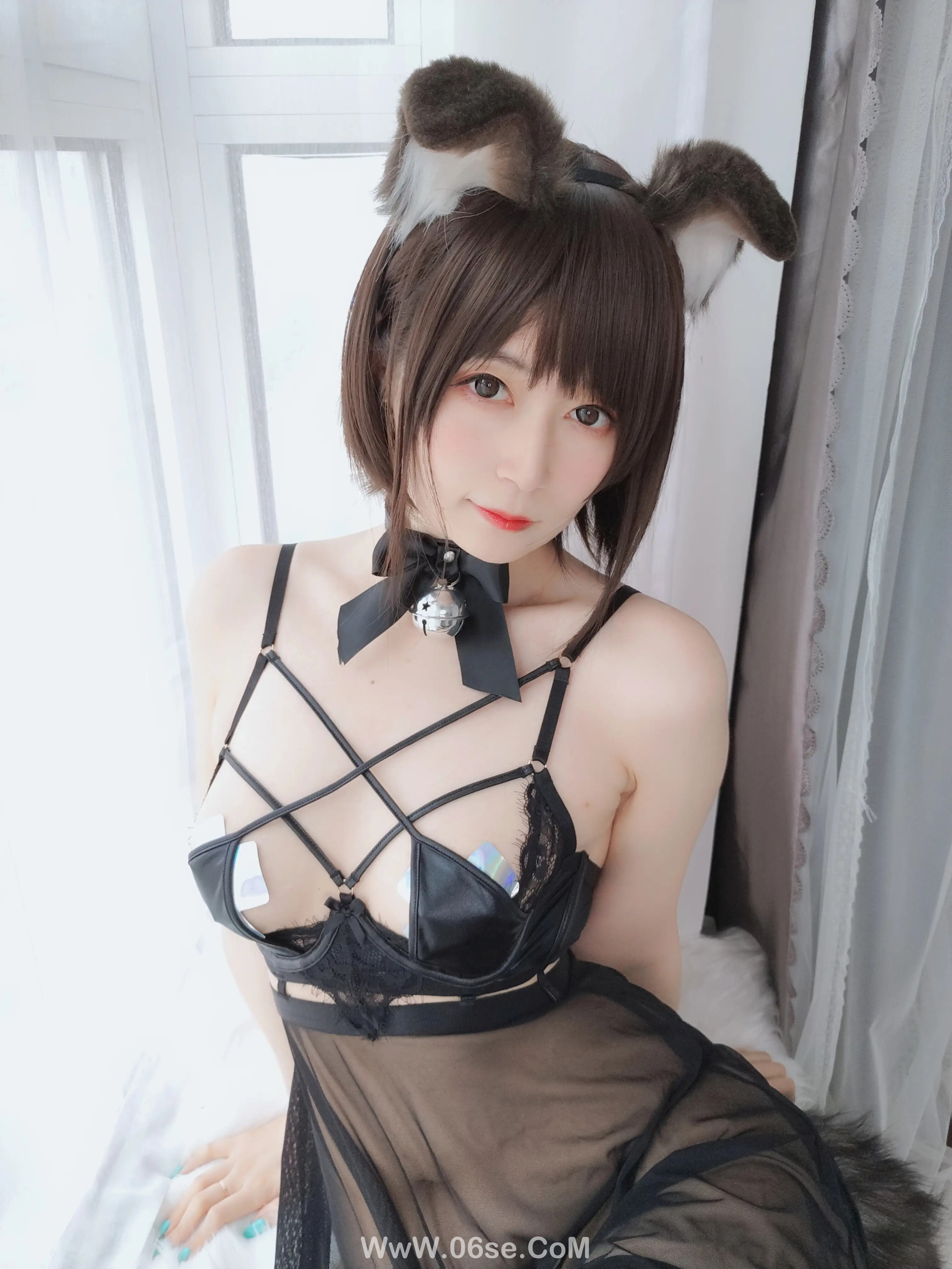 图片[67]-白银81 – 折耳狗-六色网