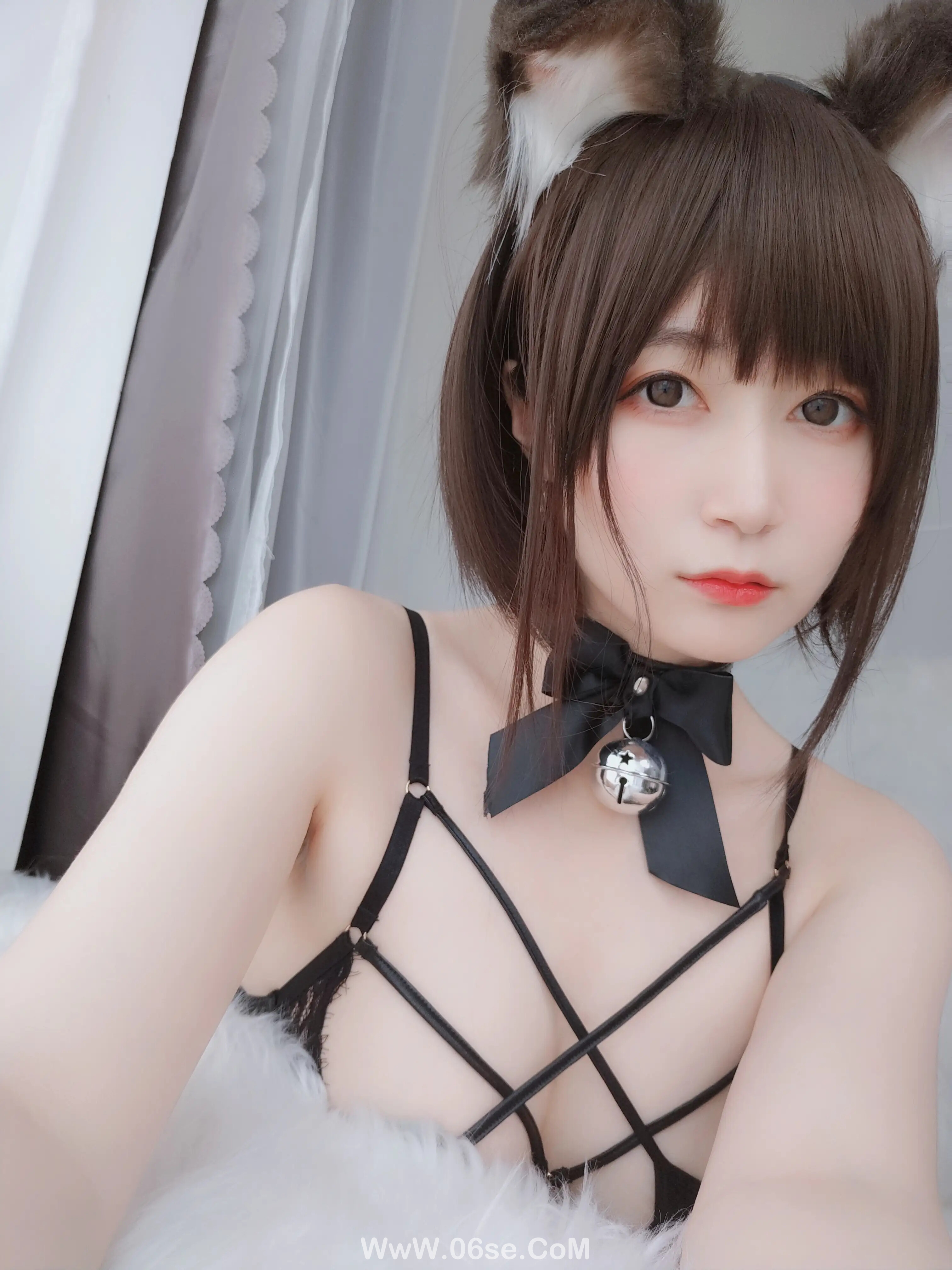 图片[80]-白银81 – 折耳狗-六色网