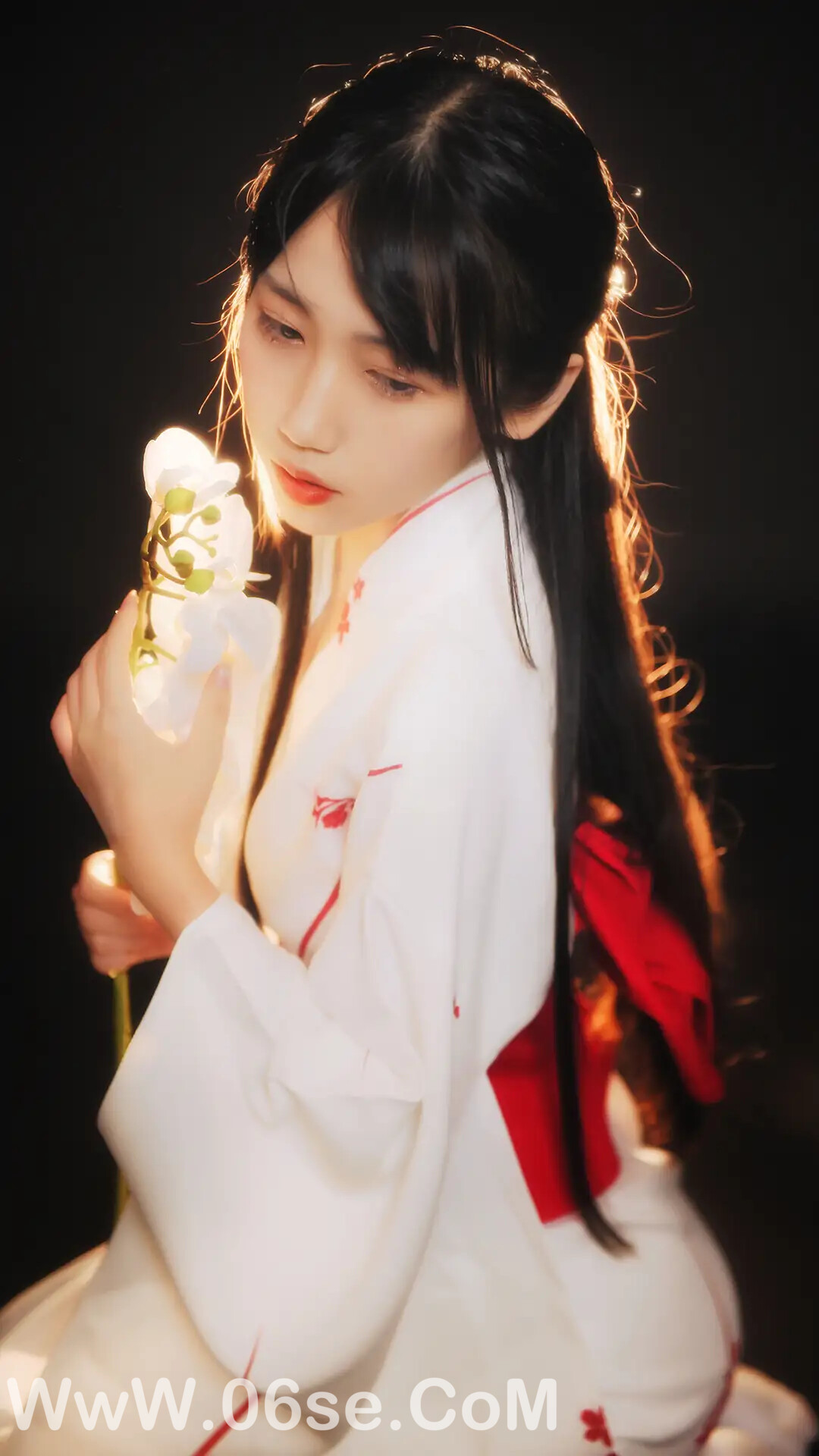 图片[39]-不呆猫 – 和服-六色网
