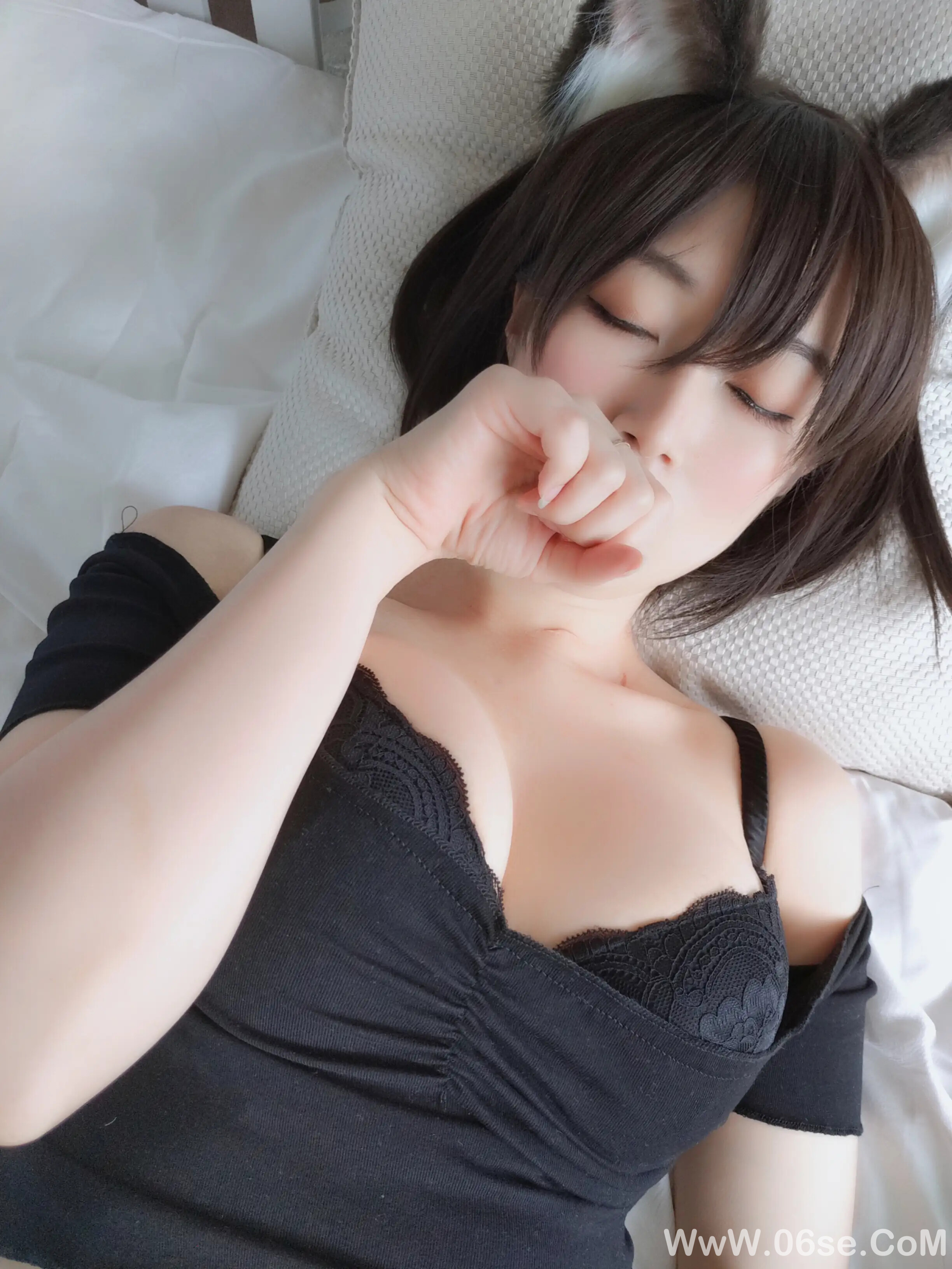 图片[31]-白银81 – 布偶猫-六色网