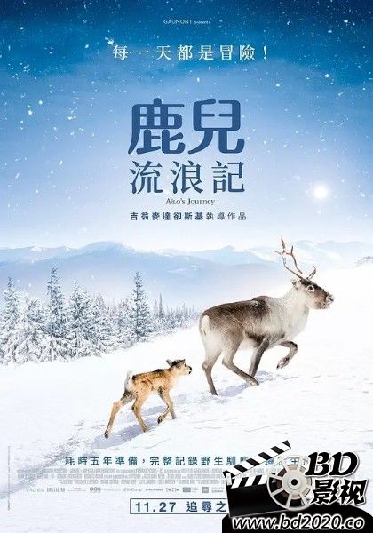 小鹿艾洛：极地的冒险史诗
