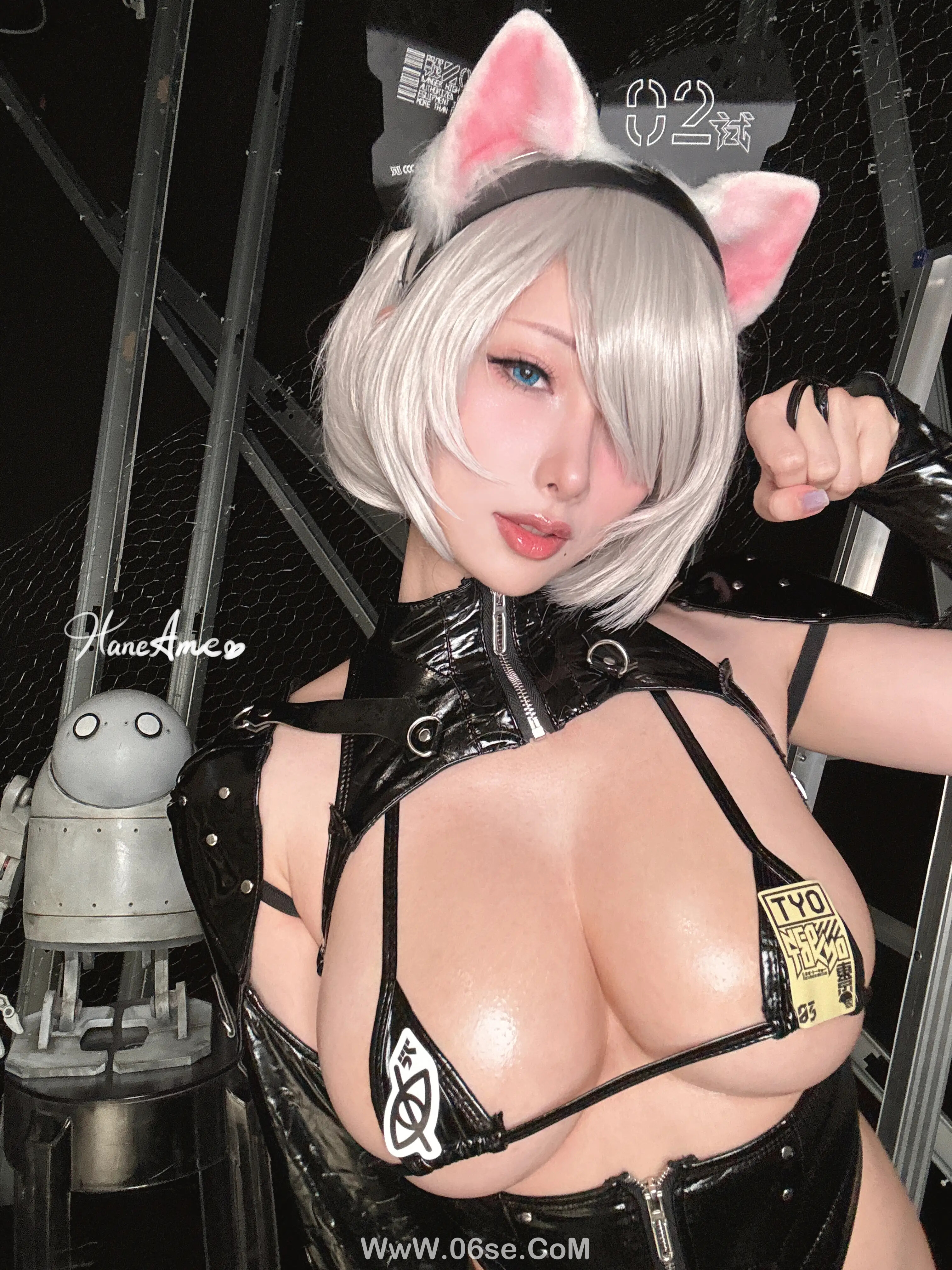 图片[25]-雨波_haneame_猫猫-六色网