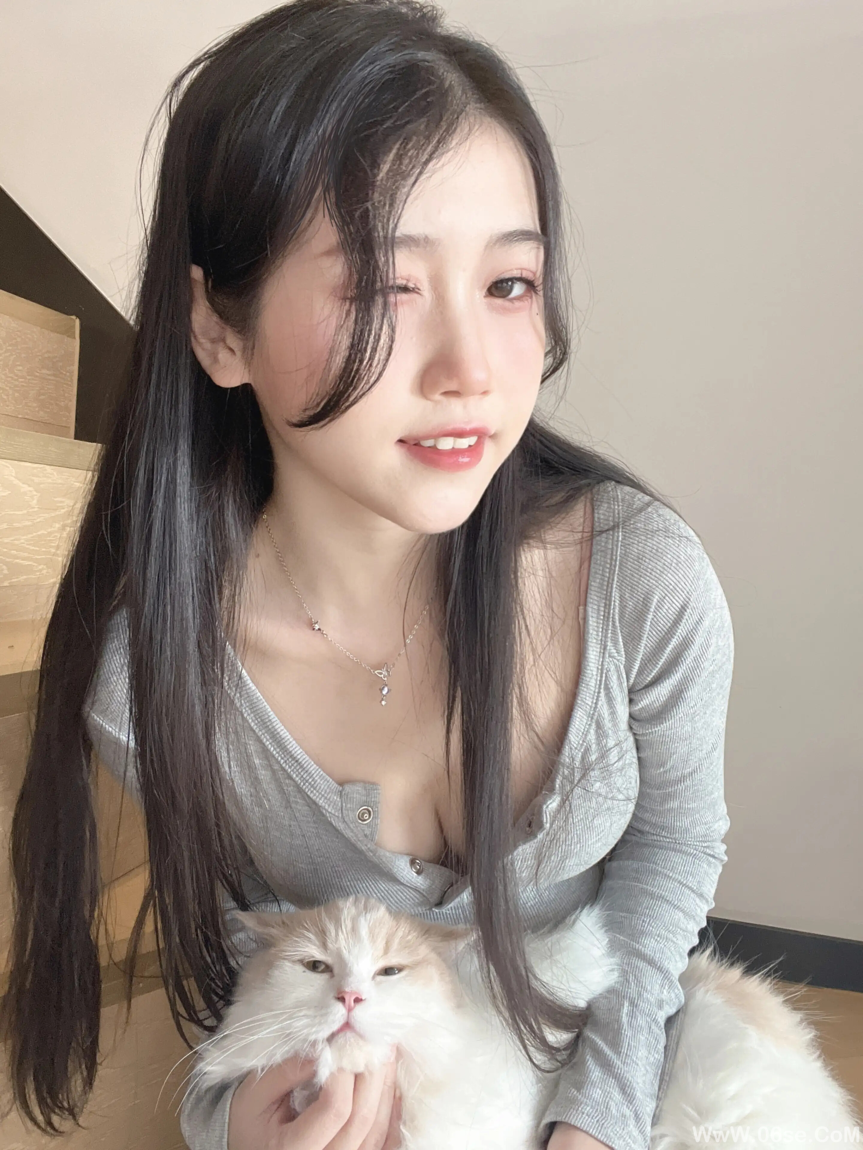 图片[6]-不呆猫 – 居家猫猫女友-六色网