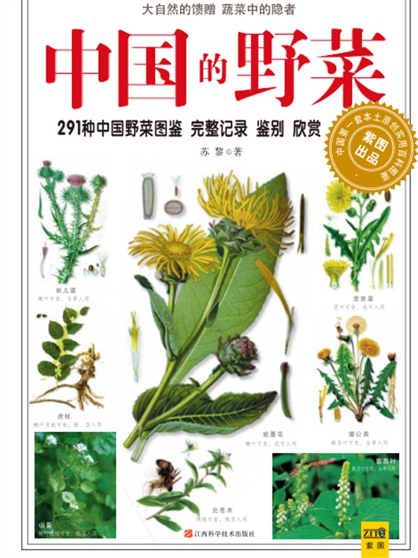 中国的野菜