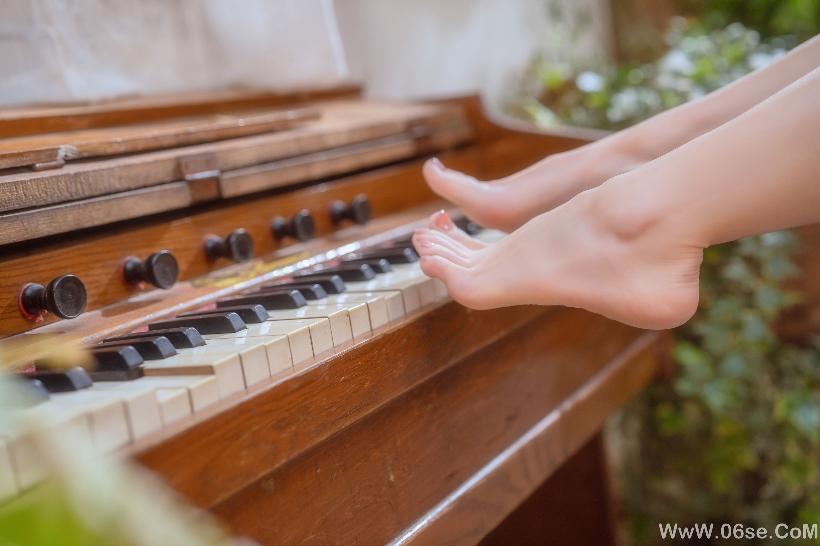 图片[47]-桃良阿宅 – 小院 [55P]-六色网