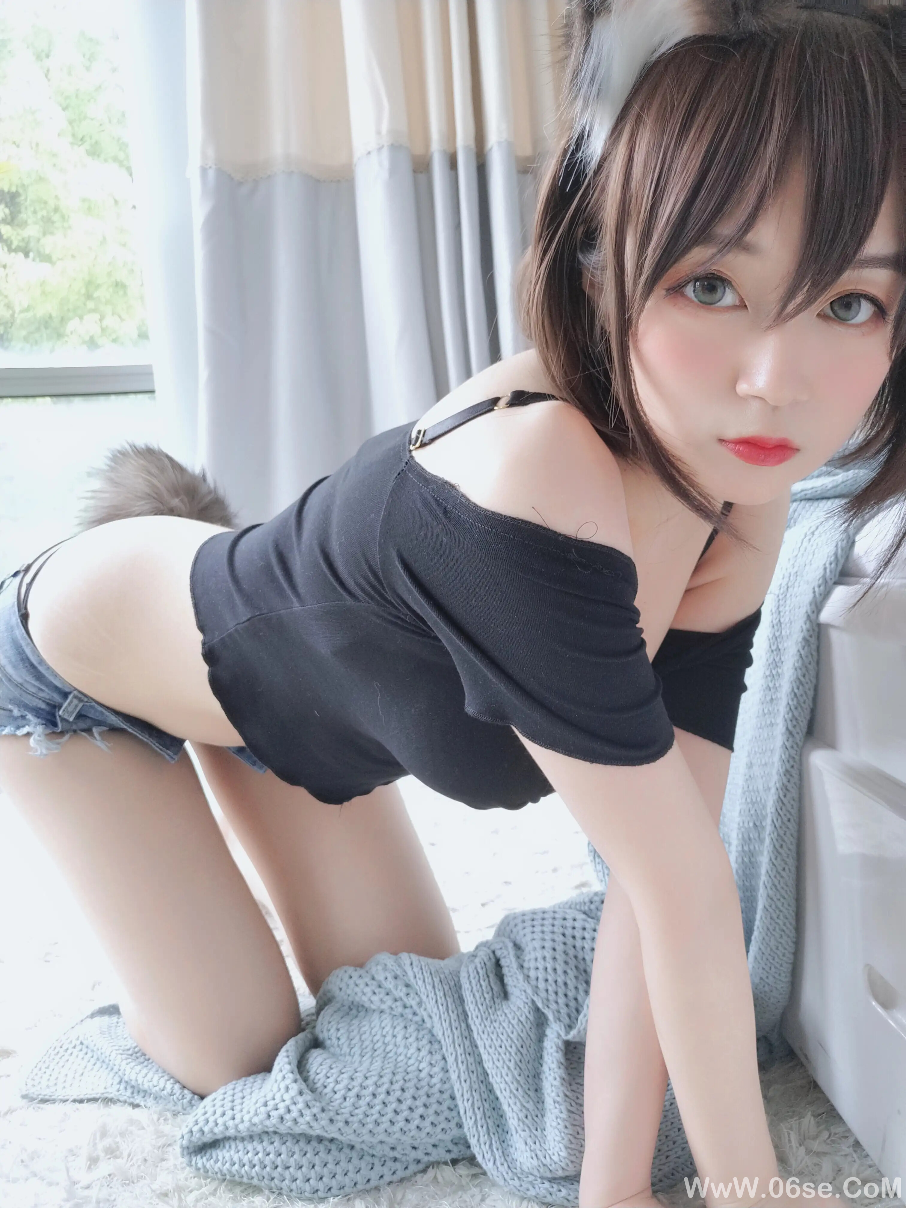 图片[36]-白银81 – 布偶猫-六色网