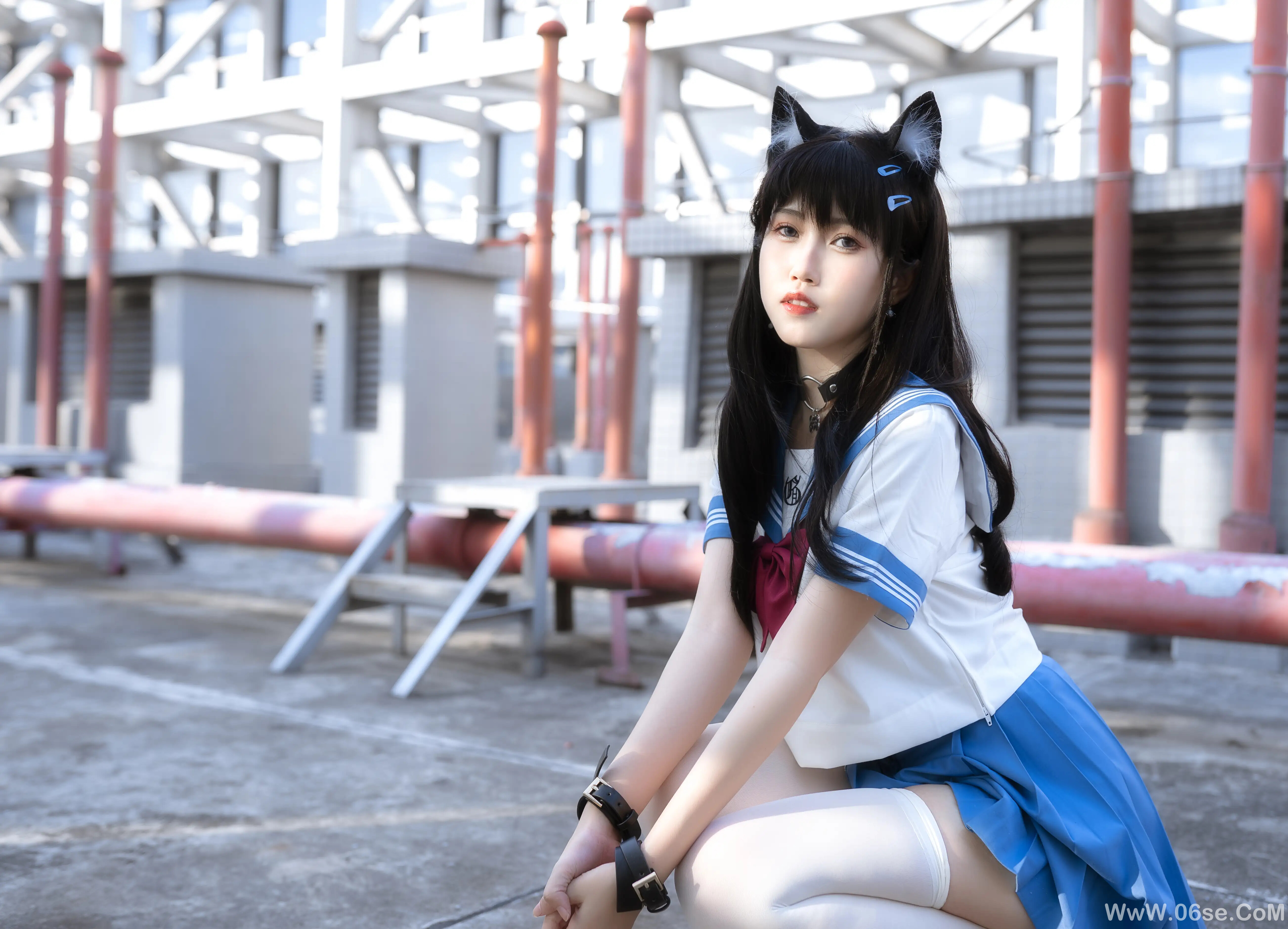 图片[93]-不呆猫 – 天台小m猫-六色网