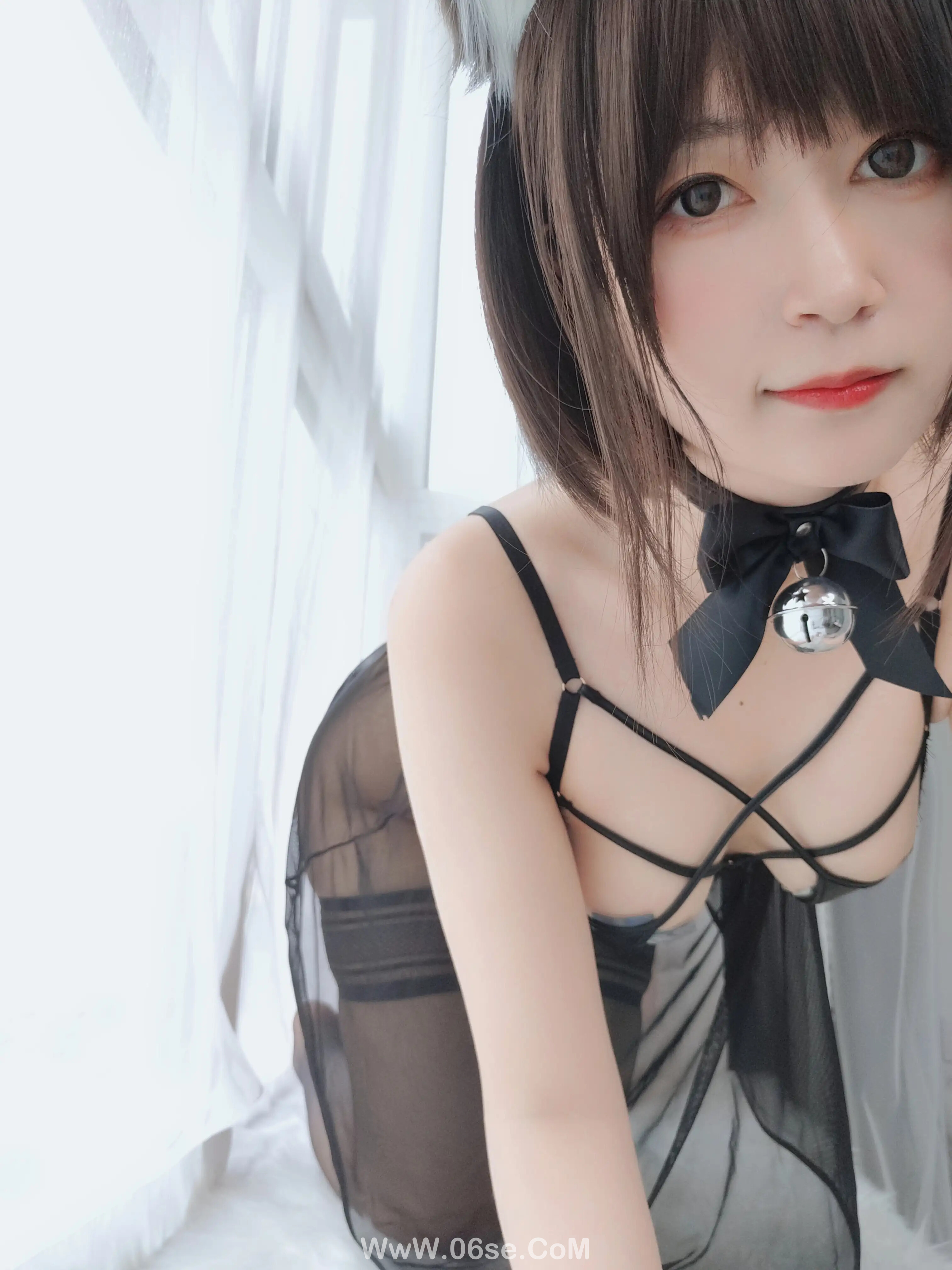 图片[51]-白银81 – 折耳狗-六色网