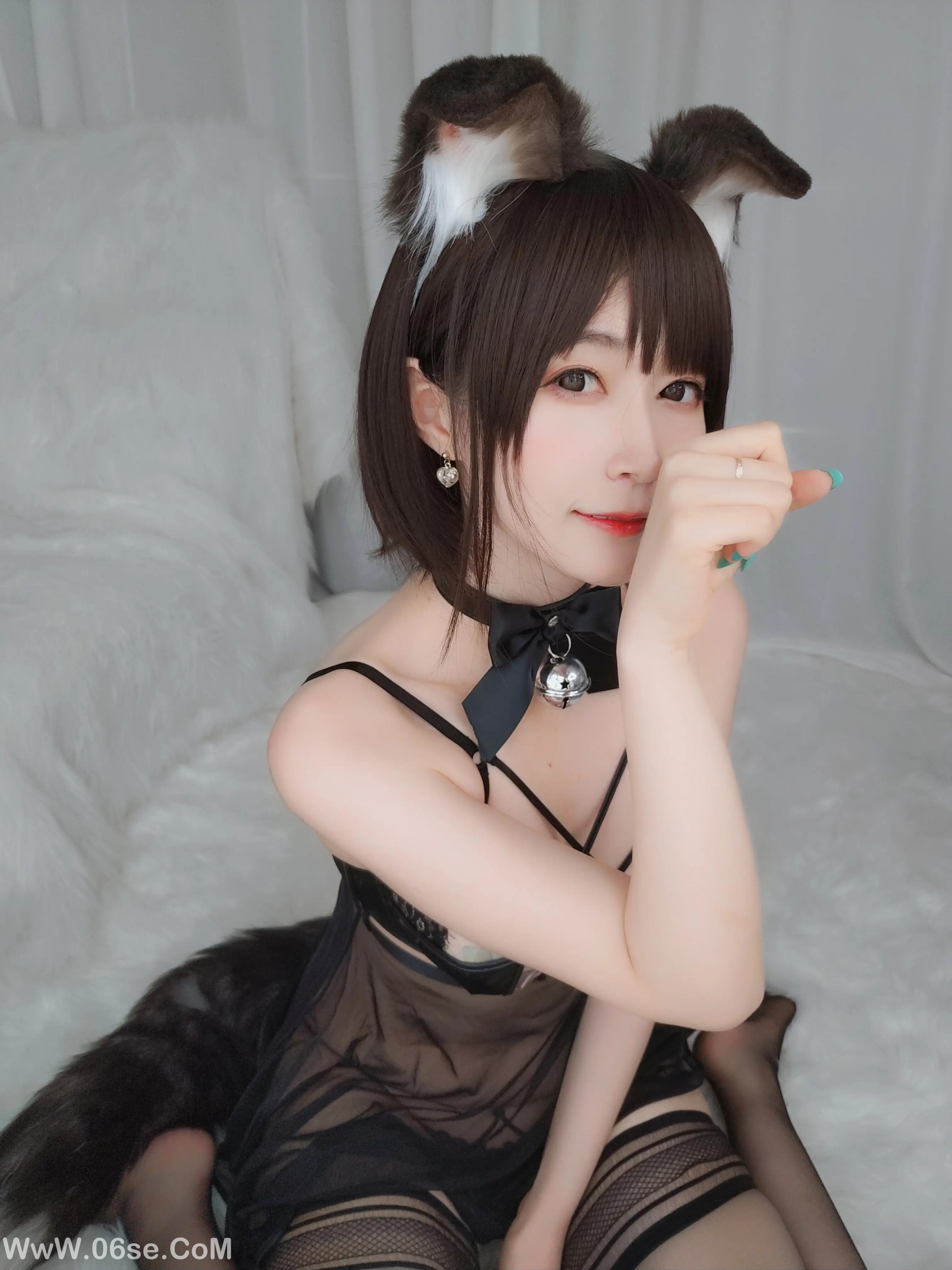 图片[15]-白银81 – 折耳狗-六色网