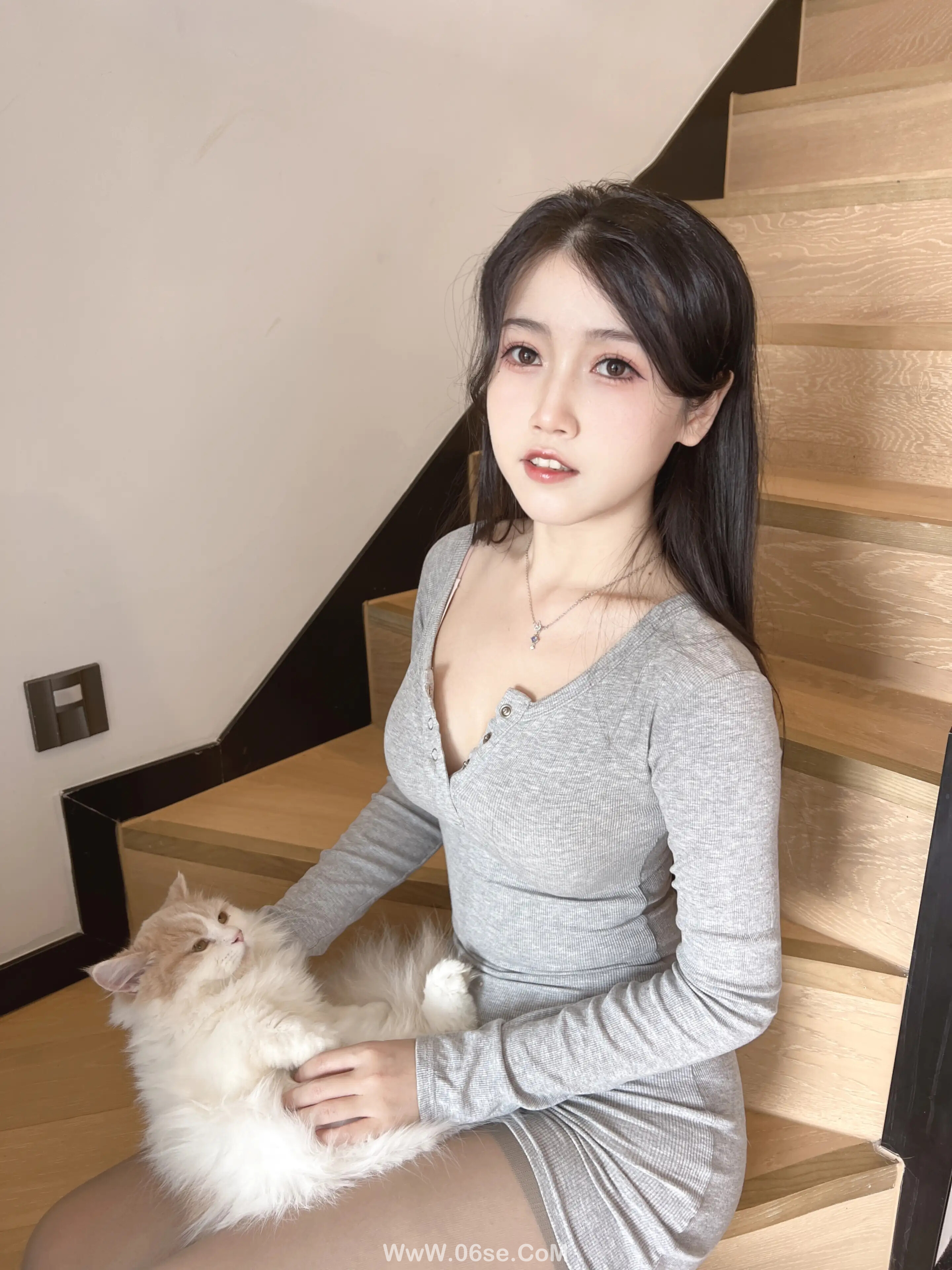 图片[8]-不呆猫 – 居家猫猫女友-六色网